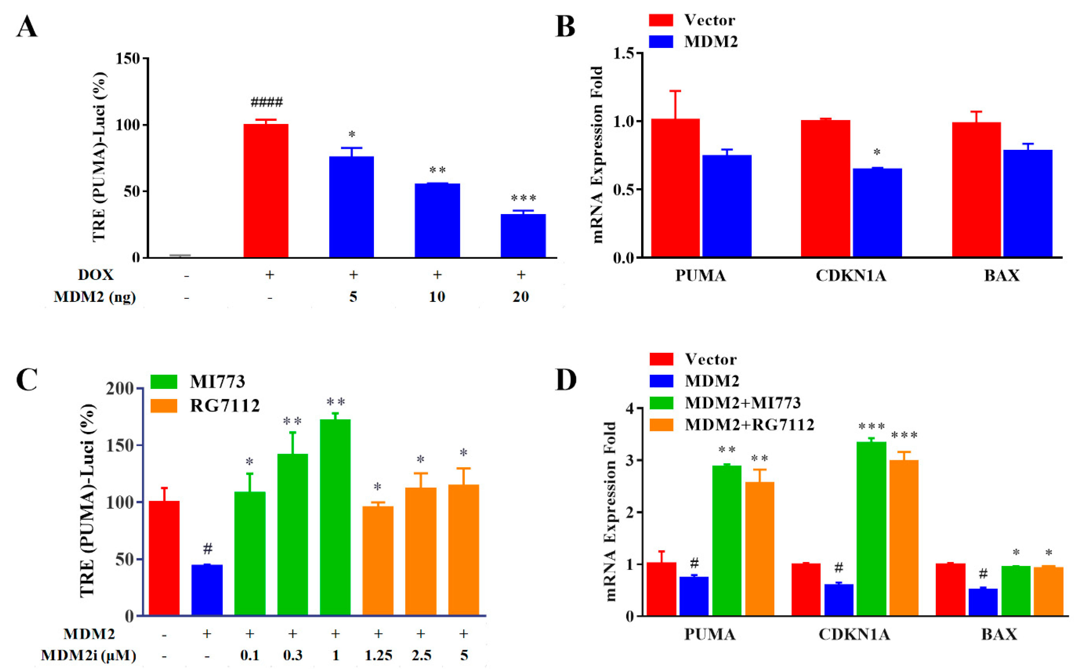 Ijms 23 13867 g006 Ijms 23 13867 g006