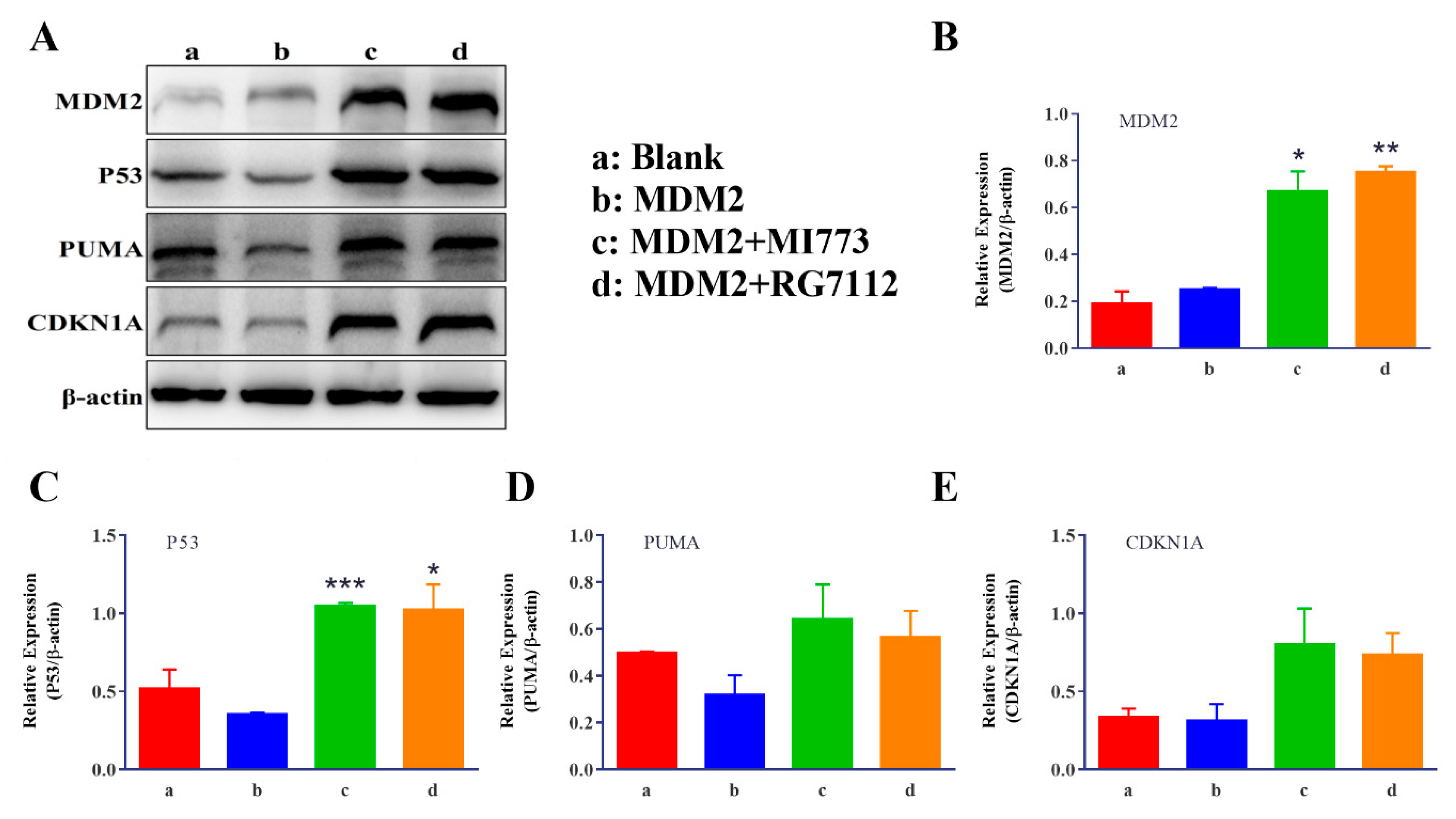 Ijms 23 13867 g007 Ijms 23 13867 g007