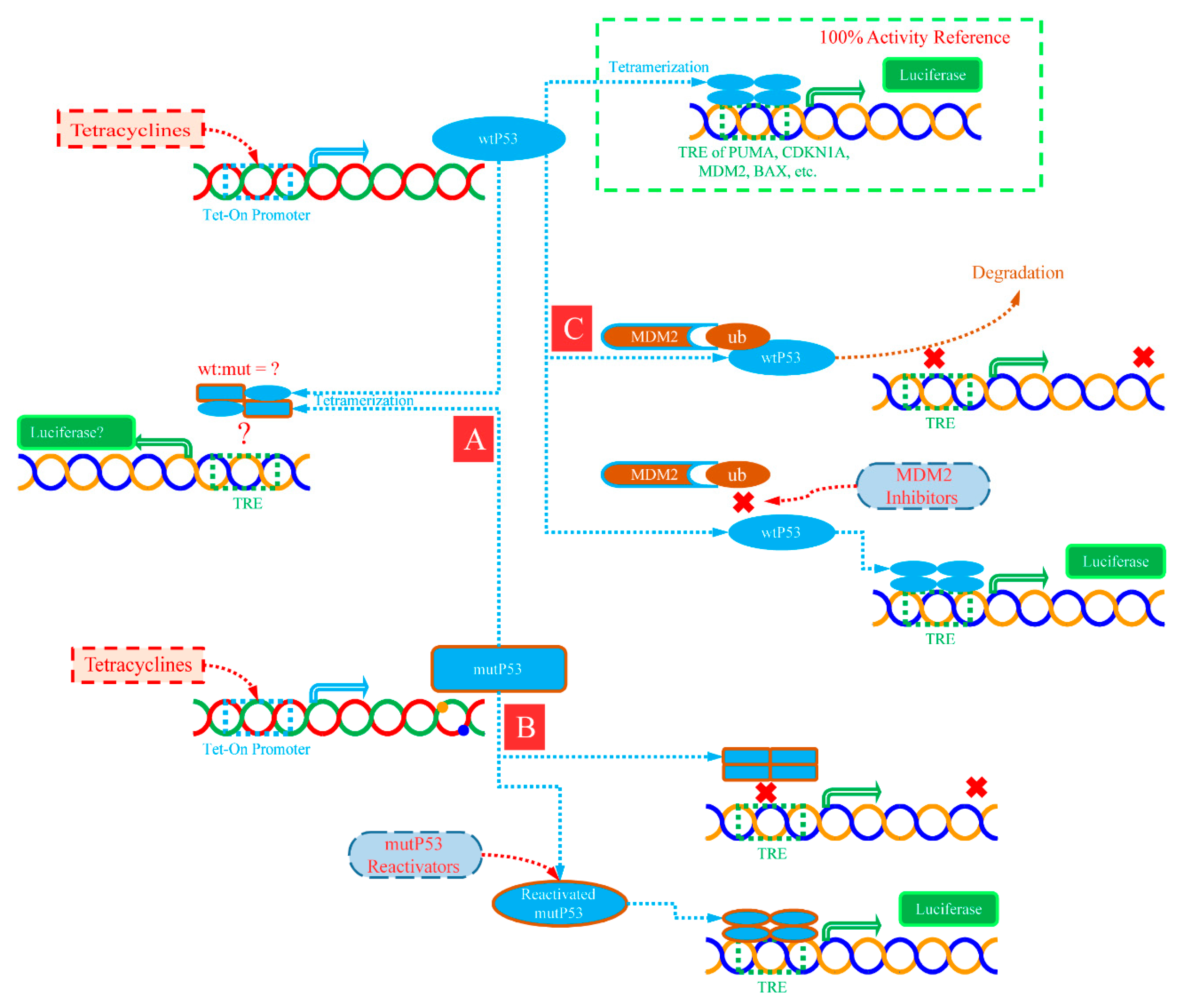 Ijms 23 13867 g008 Ijms 23 13867 g008