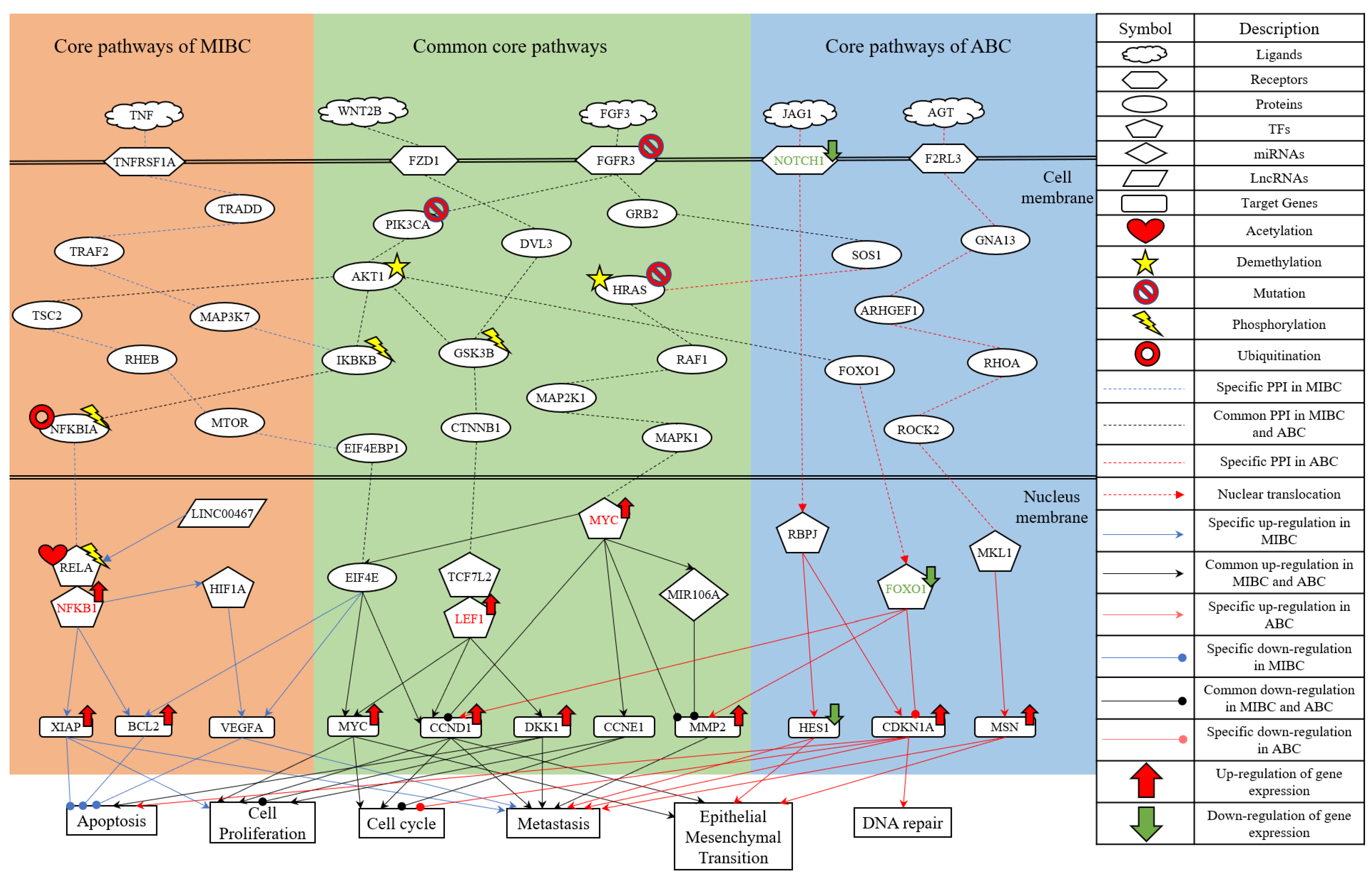 Ijms 23 13869 g002 Ijms 23 13869 g002