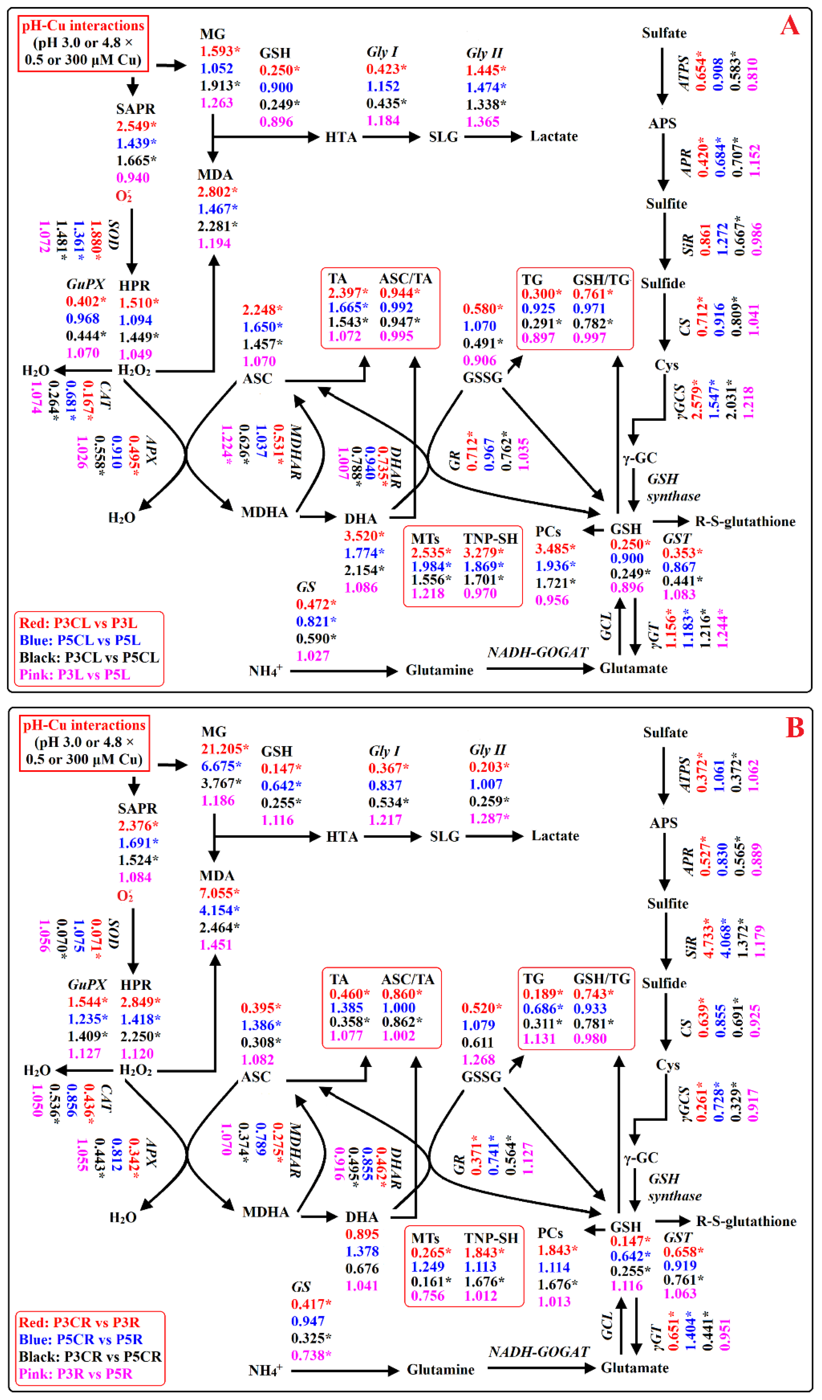 Ijms 23 13896 g007 Ijms 23 13896 g007