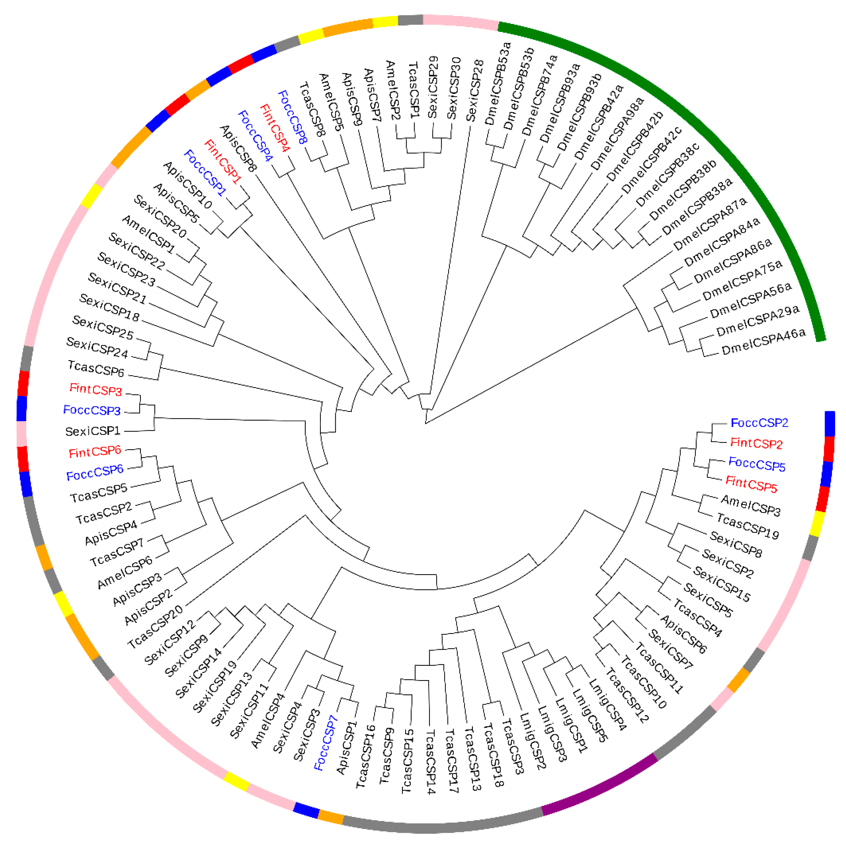 Ijms 23 13900 g005 Ijms 23 13900 g005