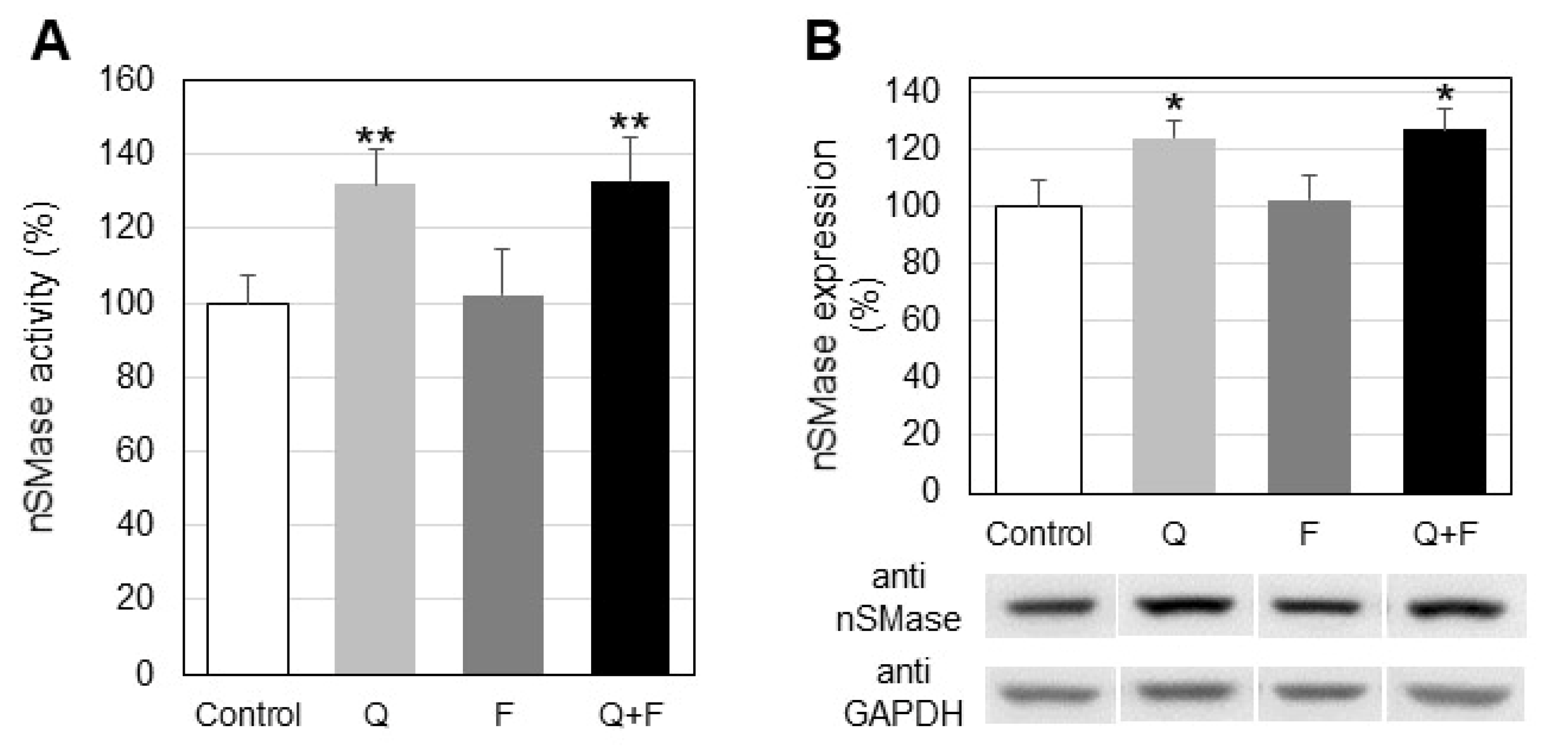 Ijms 23 13916 g003 Ijms 23 13916 g003