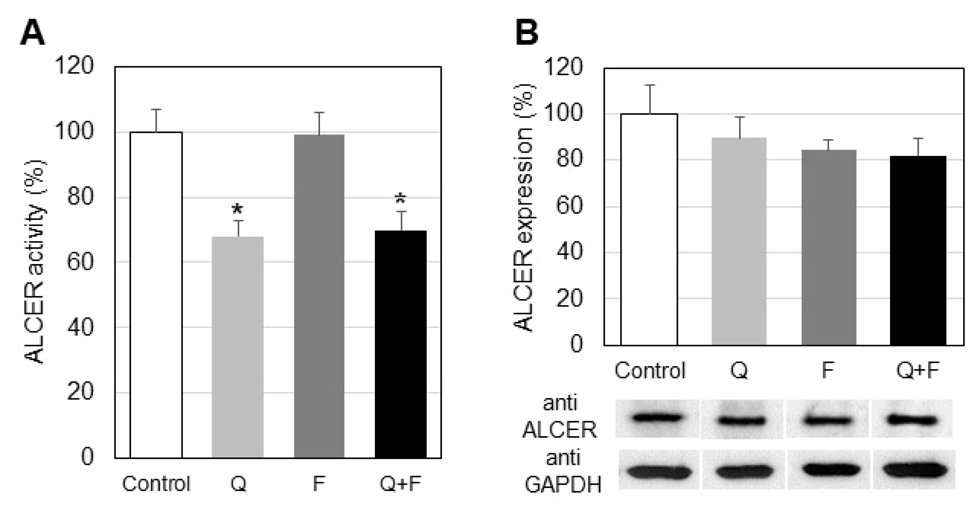 Ijms 23 13916 g005 Ijms 23 13916 g005