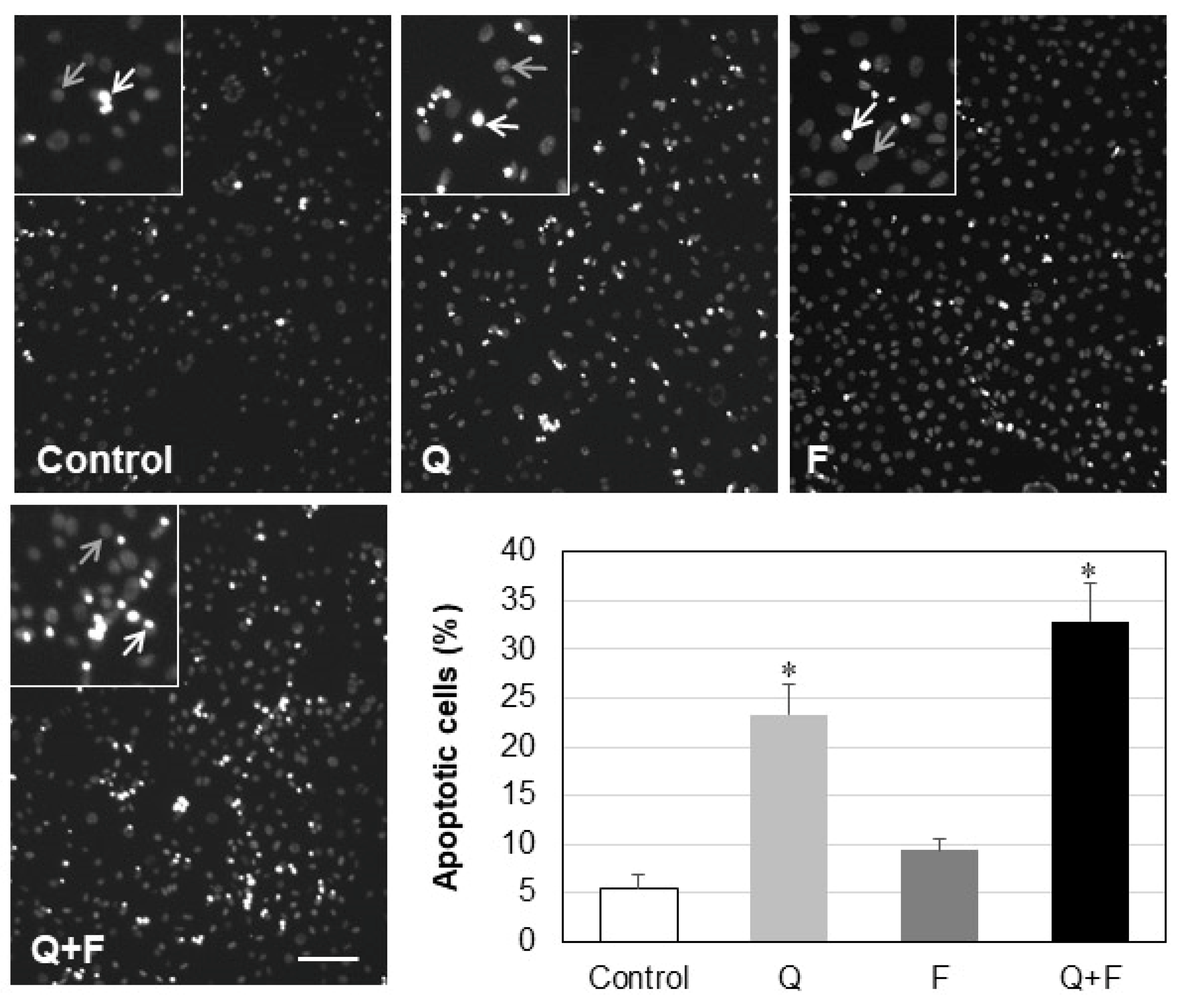 Ijms 23 13916 g008 Ijms 23 13916 g008