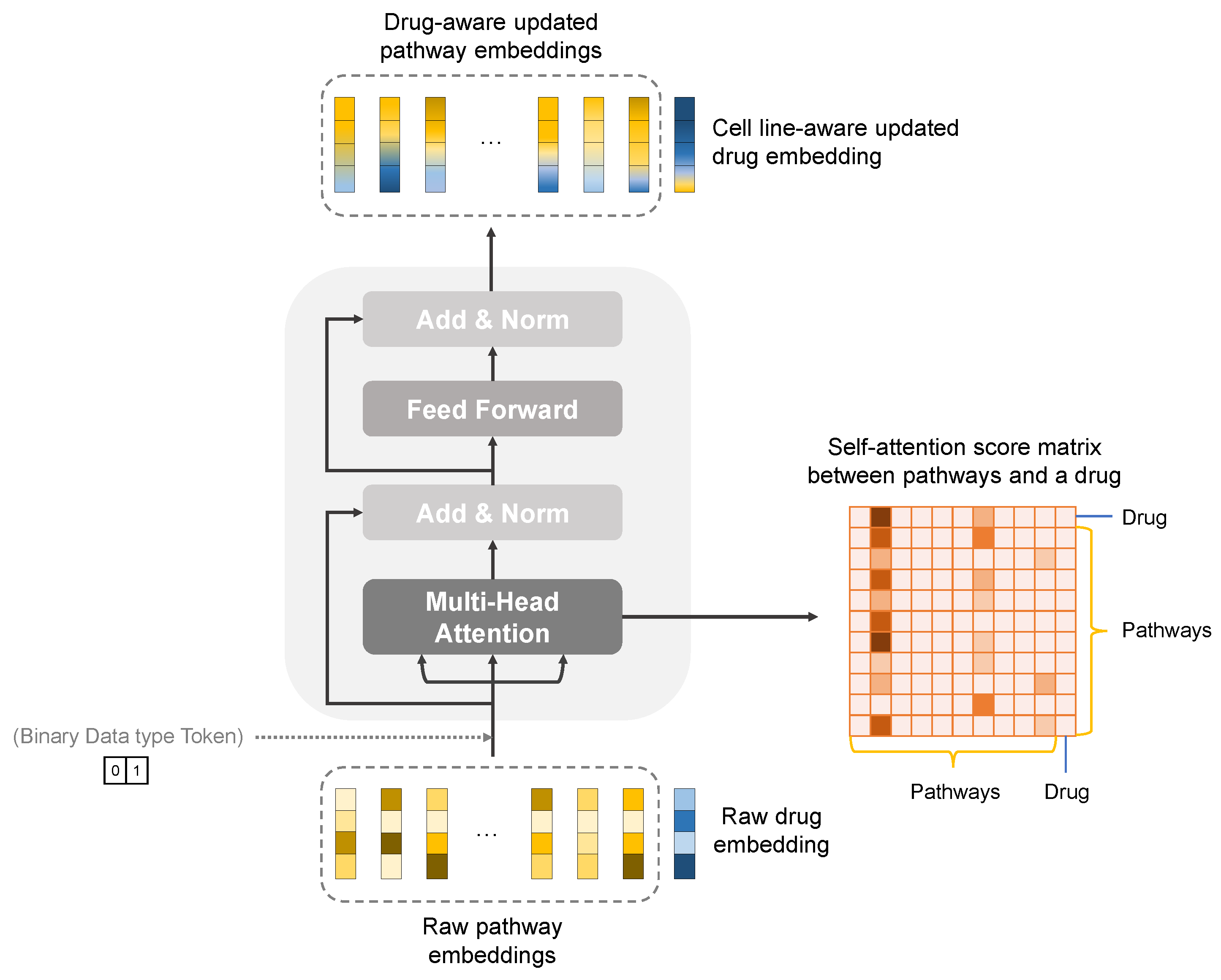 Ijms 23 13919 g003 Ijms 23 13919 g003