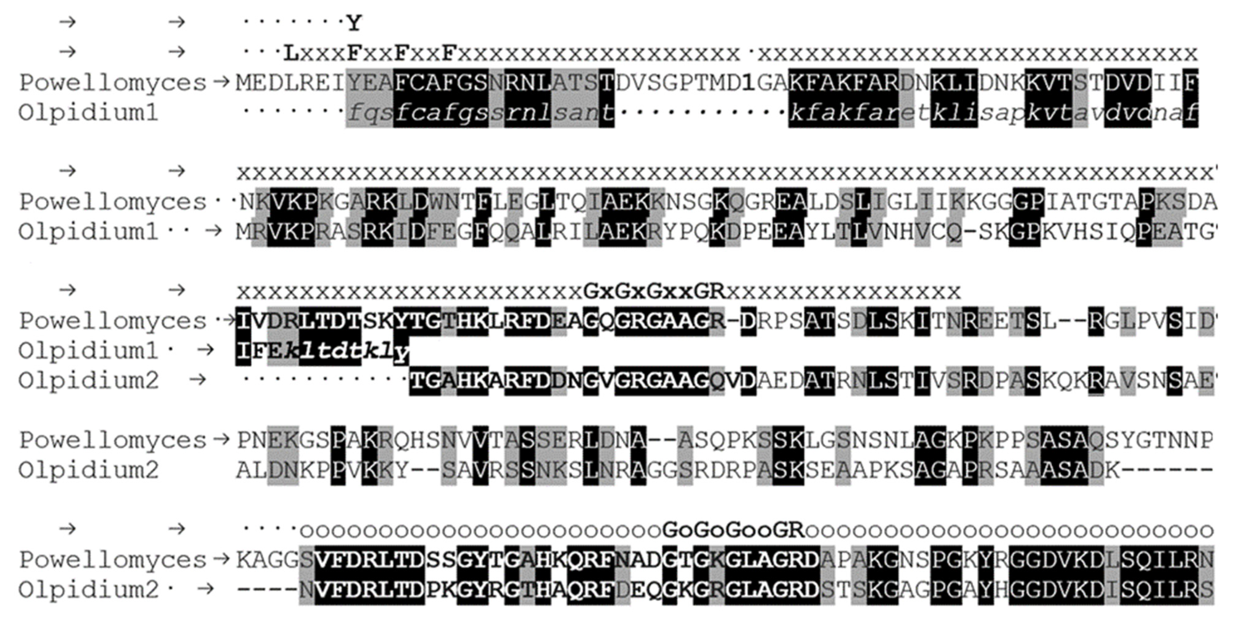 Ijms 23 13927 g003 Ijms 23 13927 g003