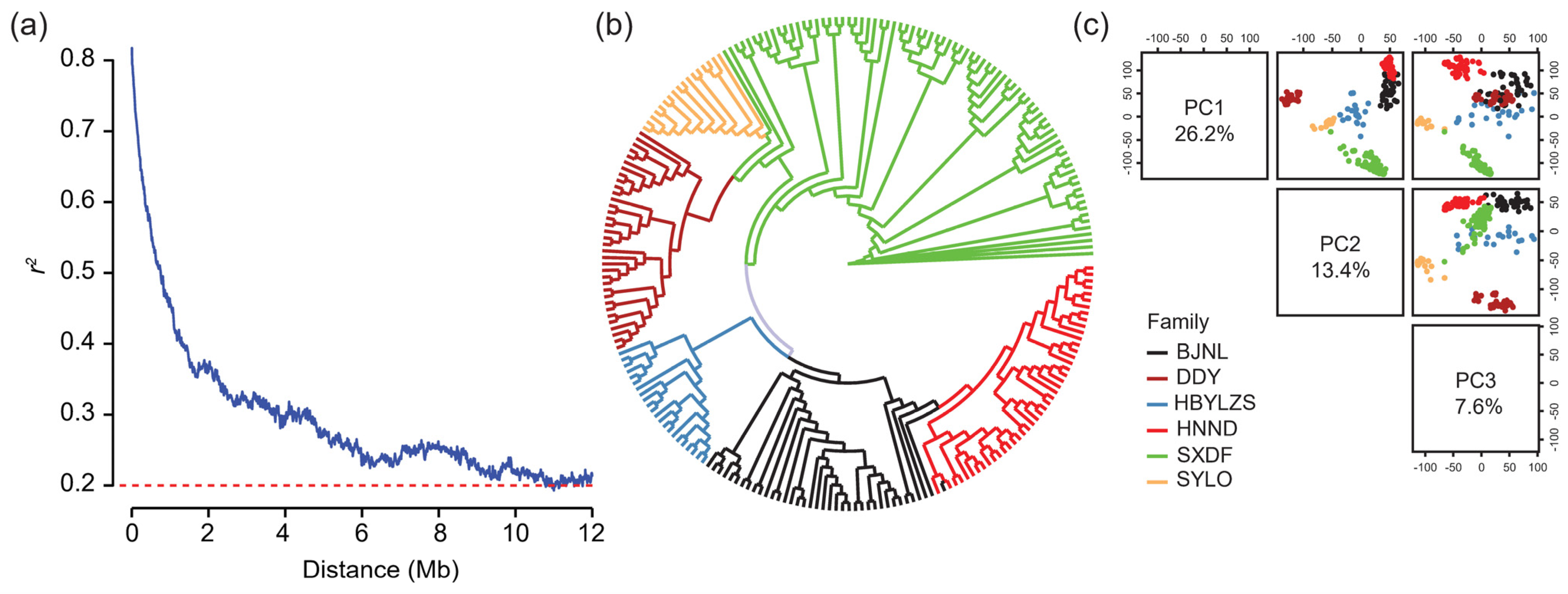 Ijms 23 13943 g002 Ijms 23 13943 g002