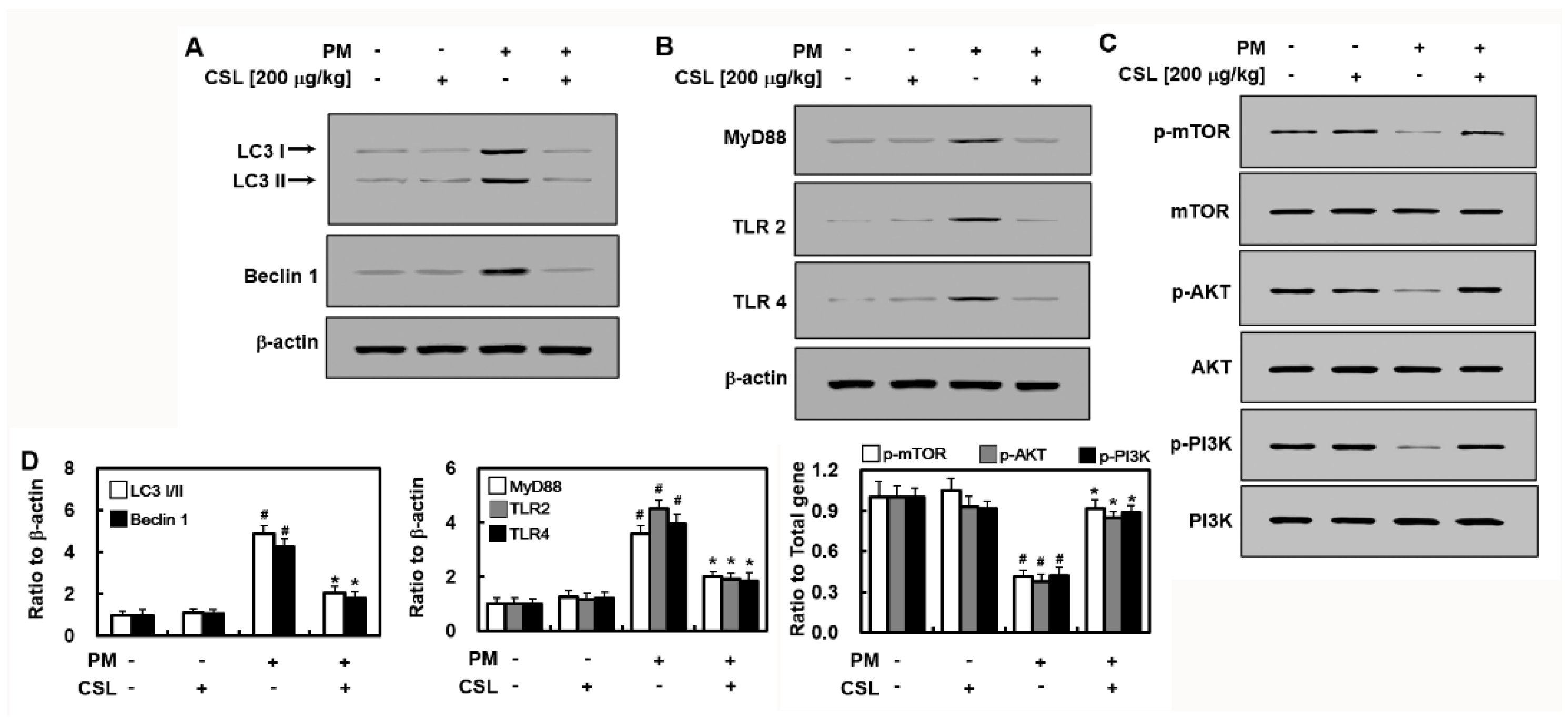 Ijms 23 13948 g002 Ijms 23 13948 g002