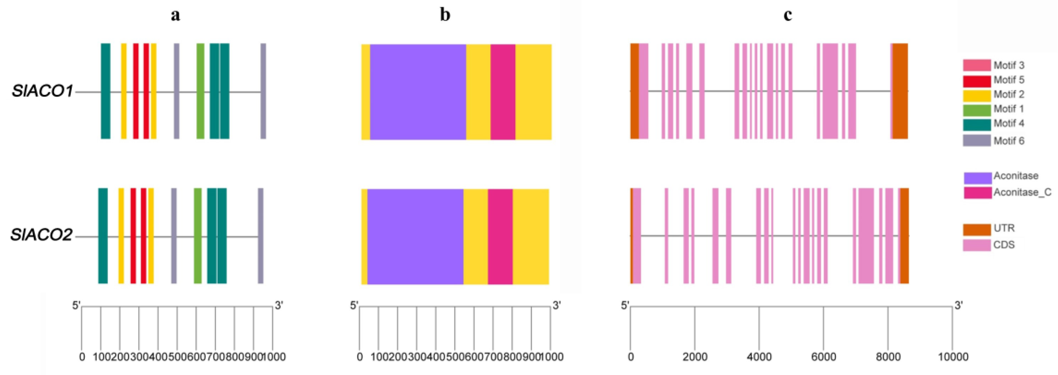 Ijms 23 13963 g001 Ijms 23 13963 g001