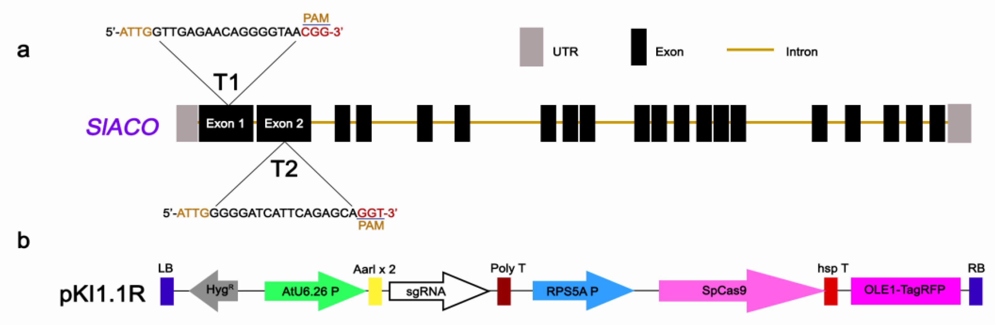 Ijms 23 13963 g002 Ijms 23 13963 g002