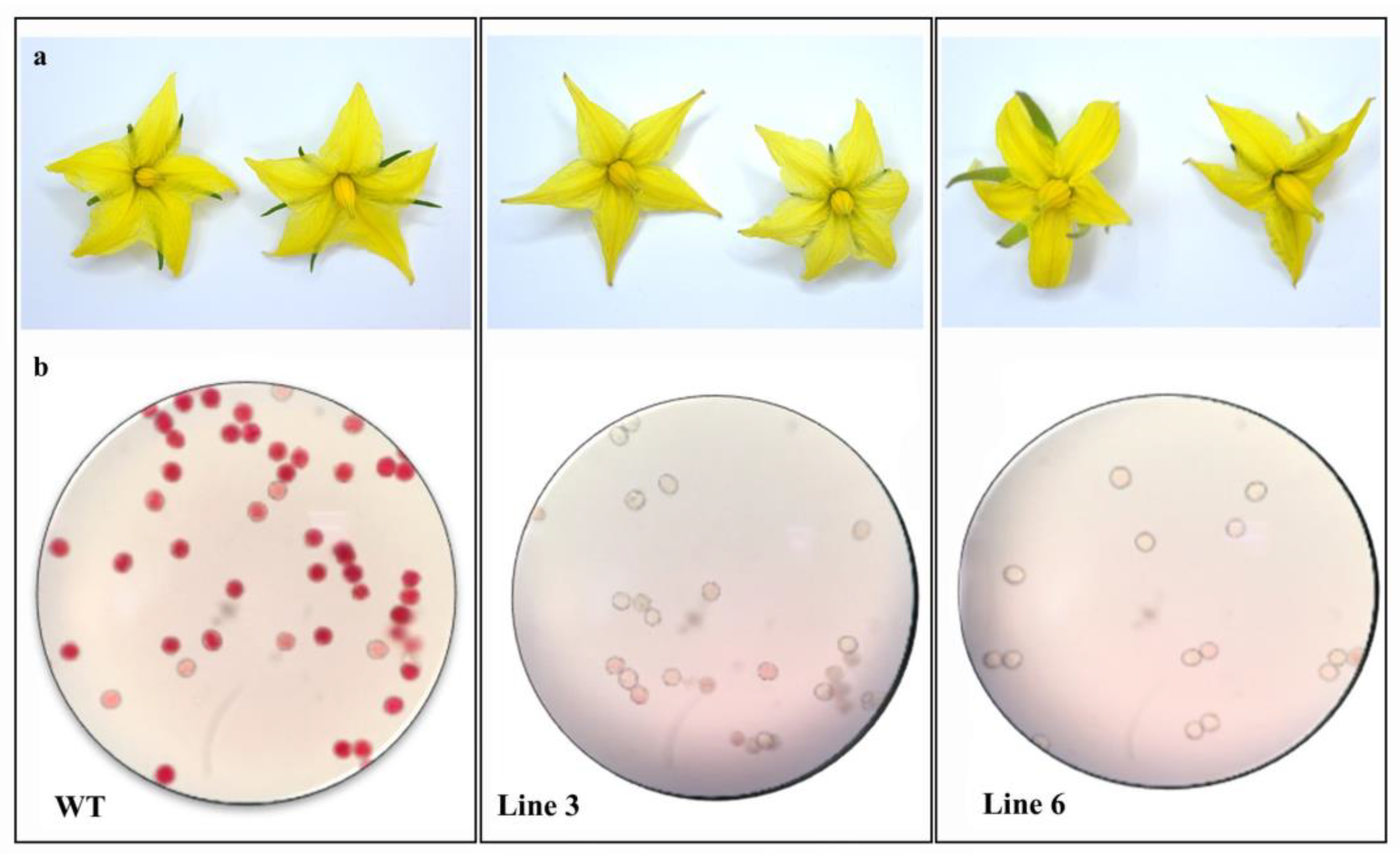 Ijms 23 13963 g004 Ijms 23 13963 g004