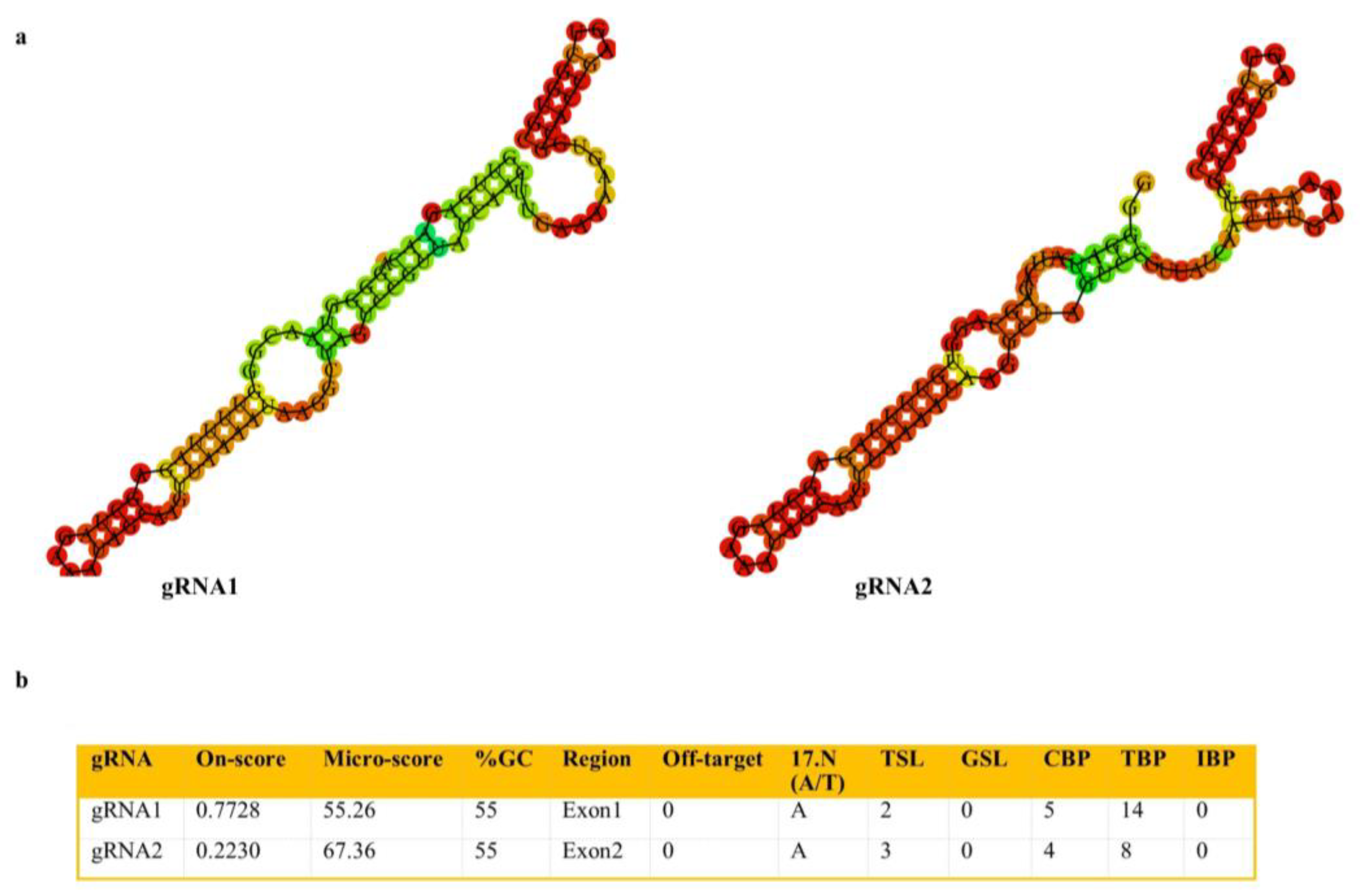 Ijms 23 13963 g008 Ijms 23 13963 g008