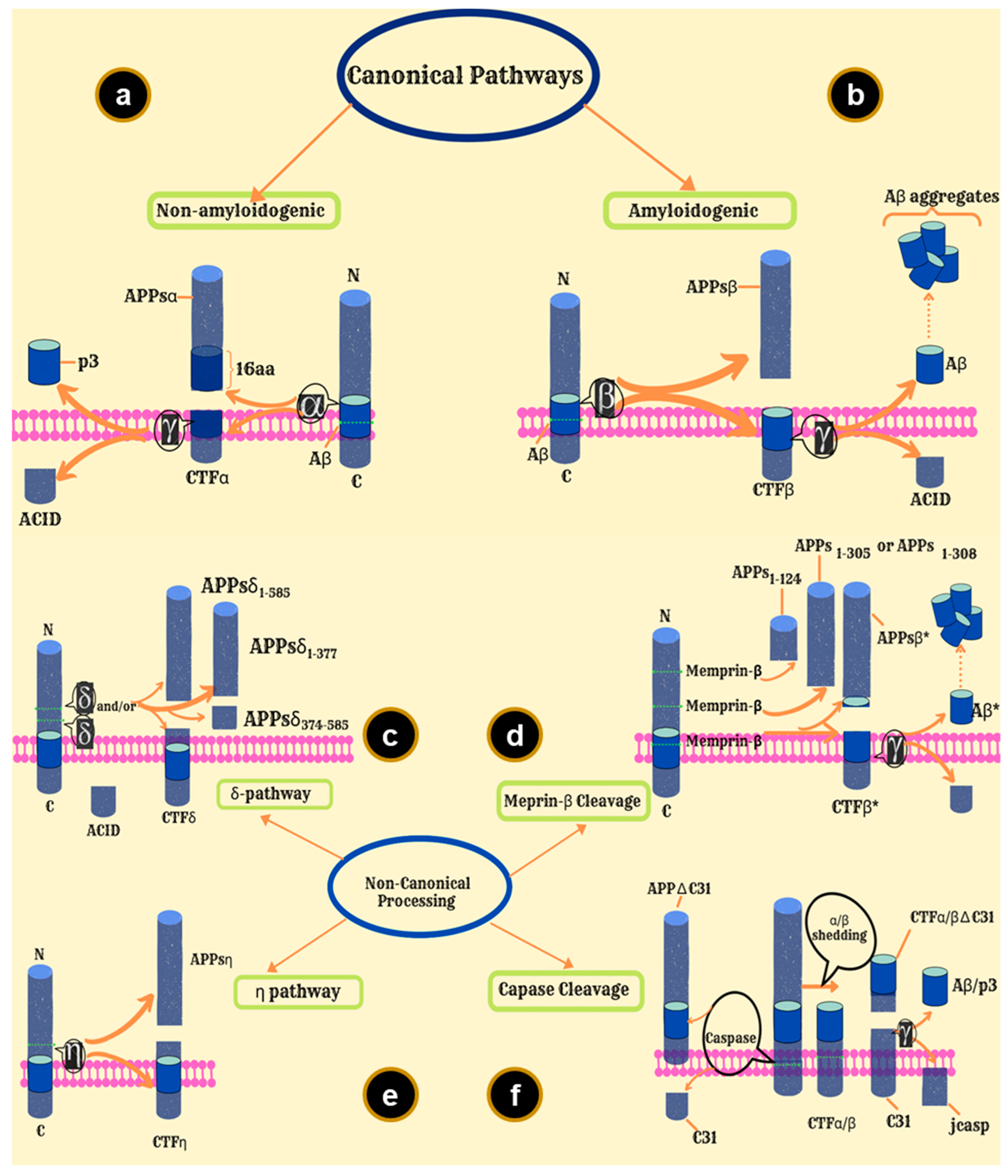 Ijms 23 13970 g004 Ijms 23 13970 g004