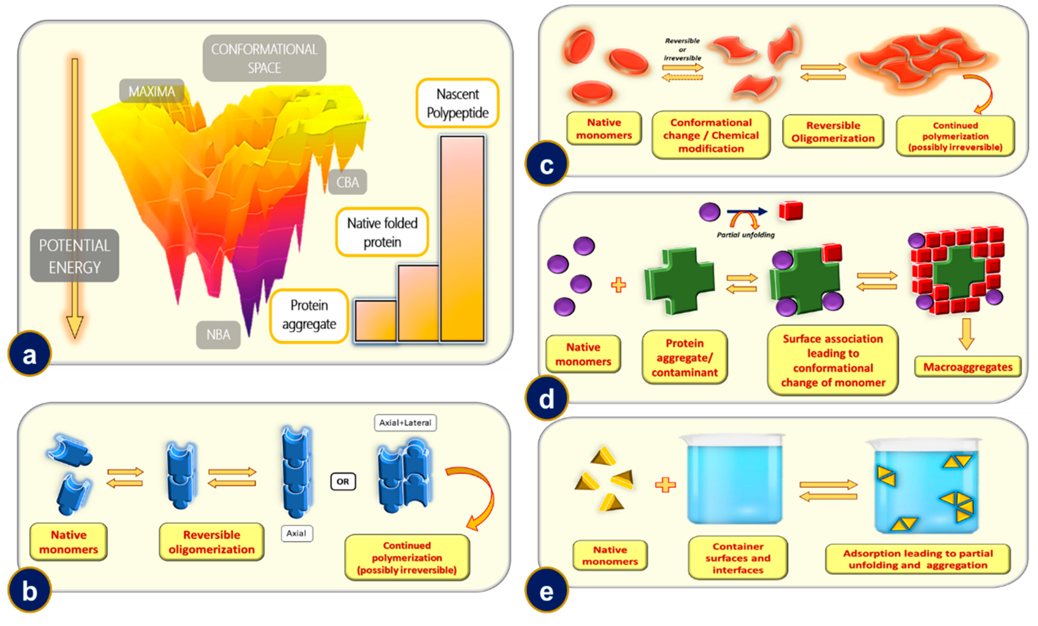 Ijms 23 13970 g007 Ijms 23 13970 g007