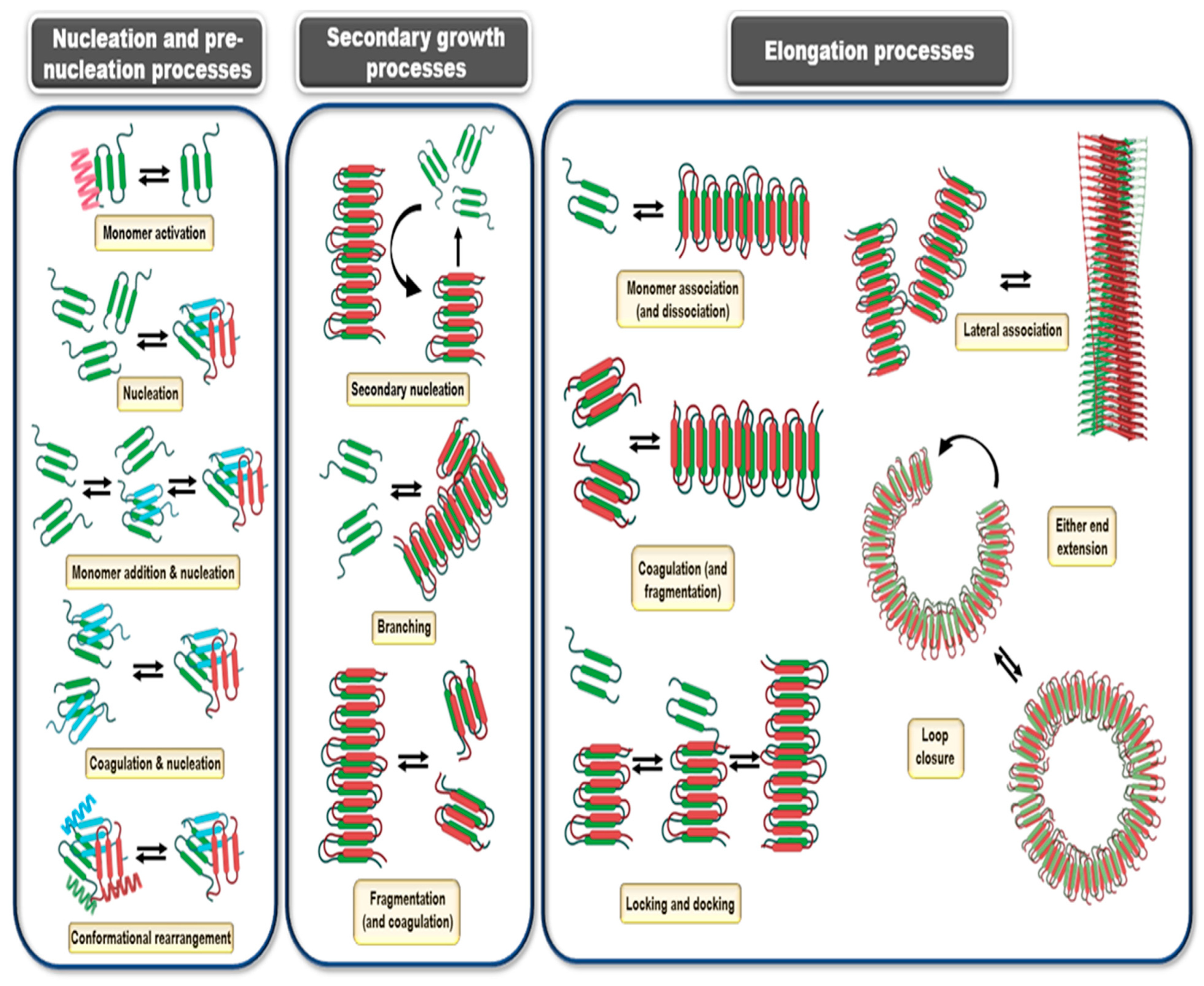 Ijms 23 13970 g008 Ijms 23 13970 g008