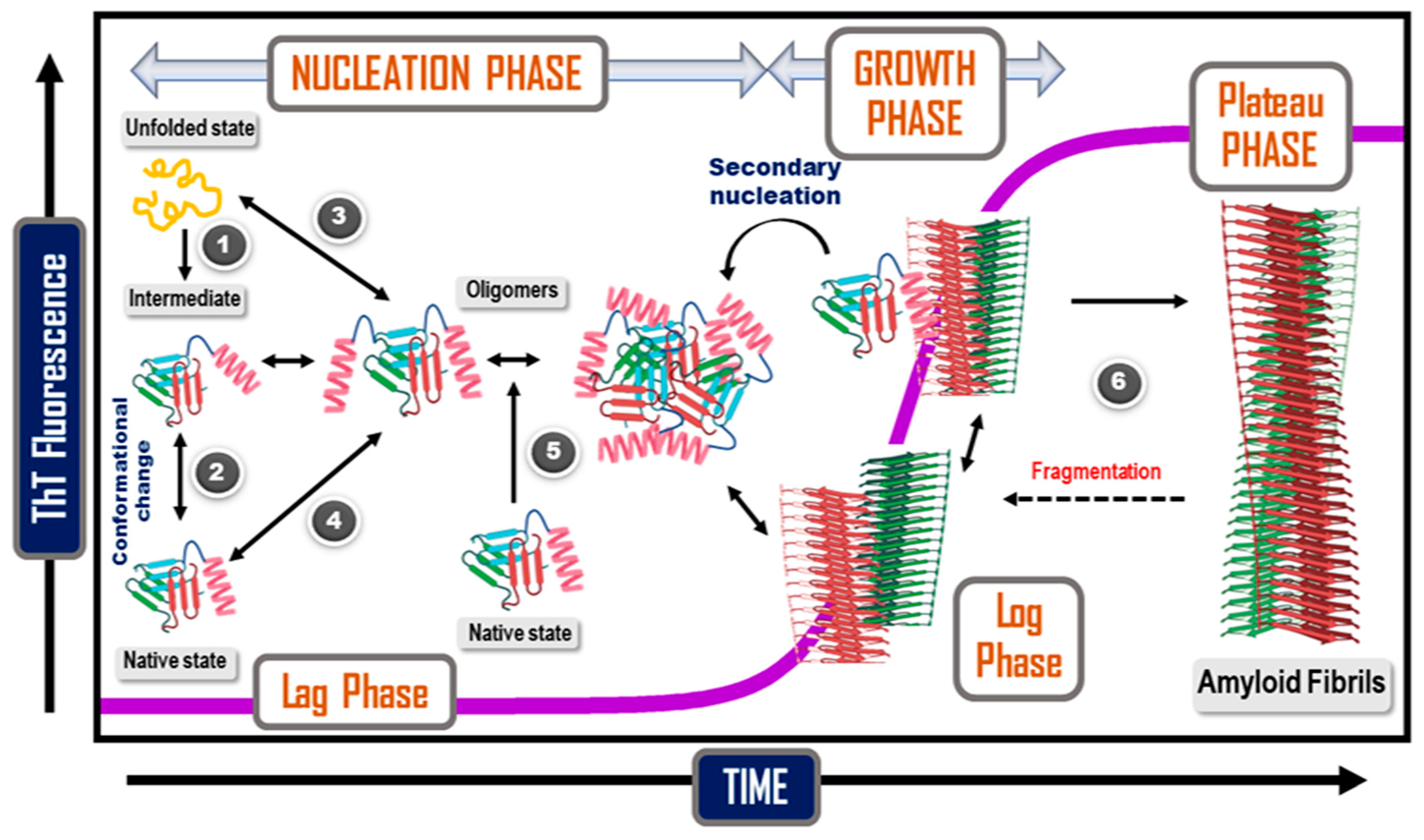 Ijms 23 13970 g009 Ijms 23 13970 g009