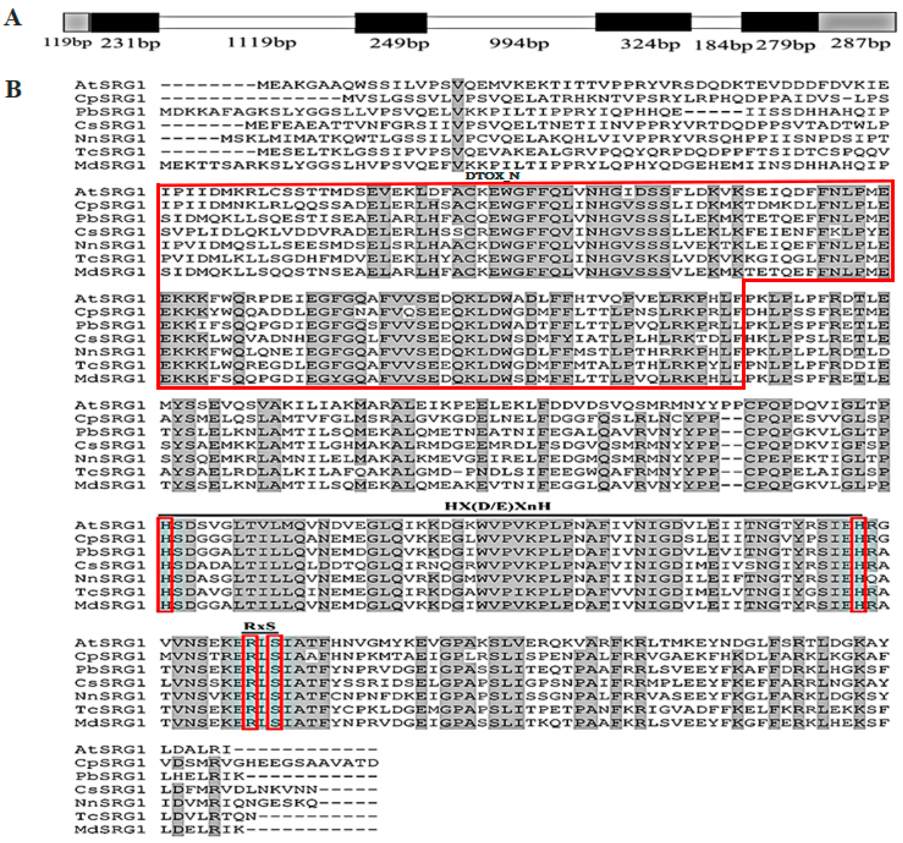 Ijms 23 13971 g001 Ijms 23 13971 g001