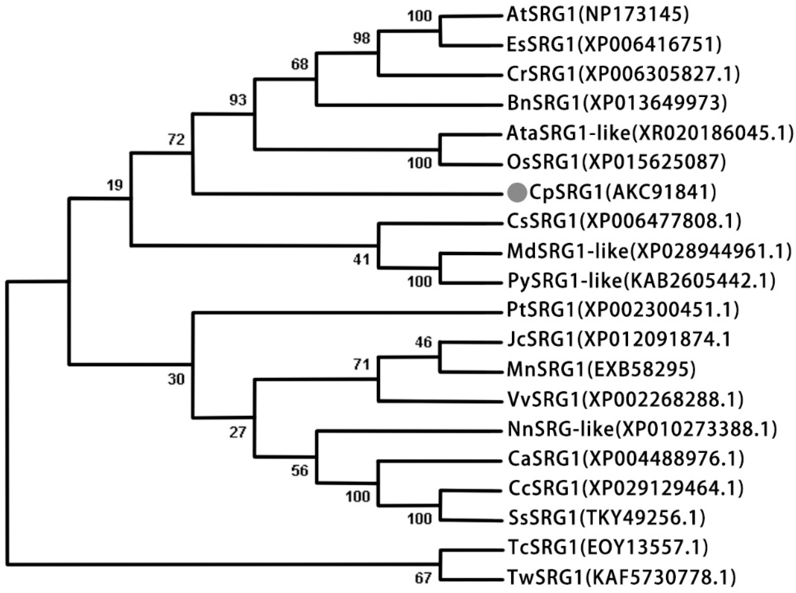 Ijms 23 13971 g002 Ijms 23 13971 g002