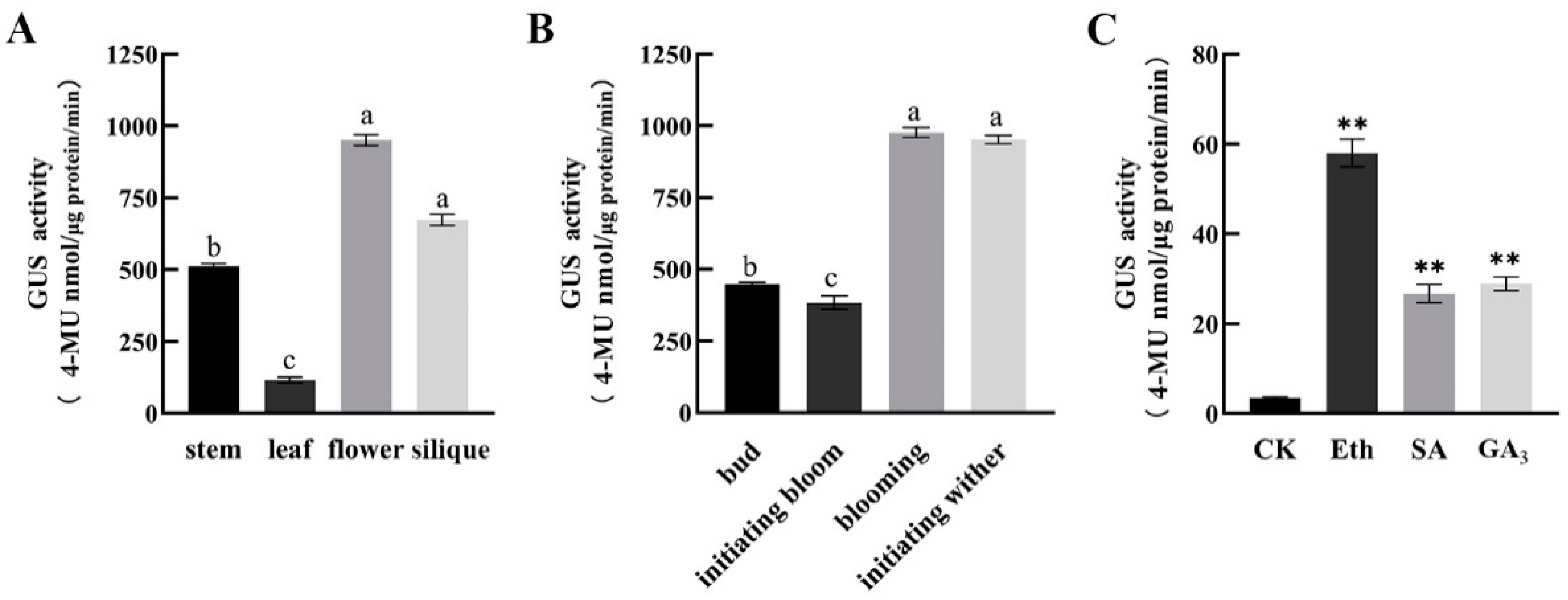 Ijms 23 13971 g005 Ijms 23 13971 g005