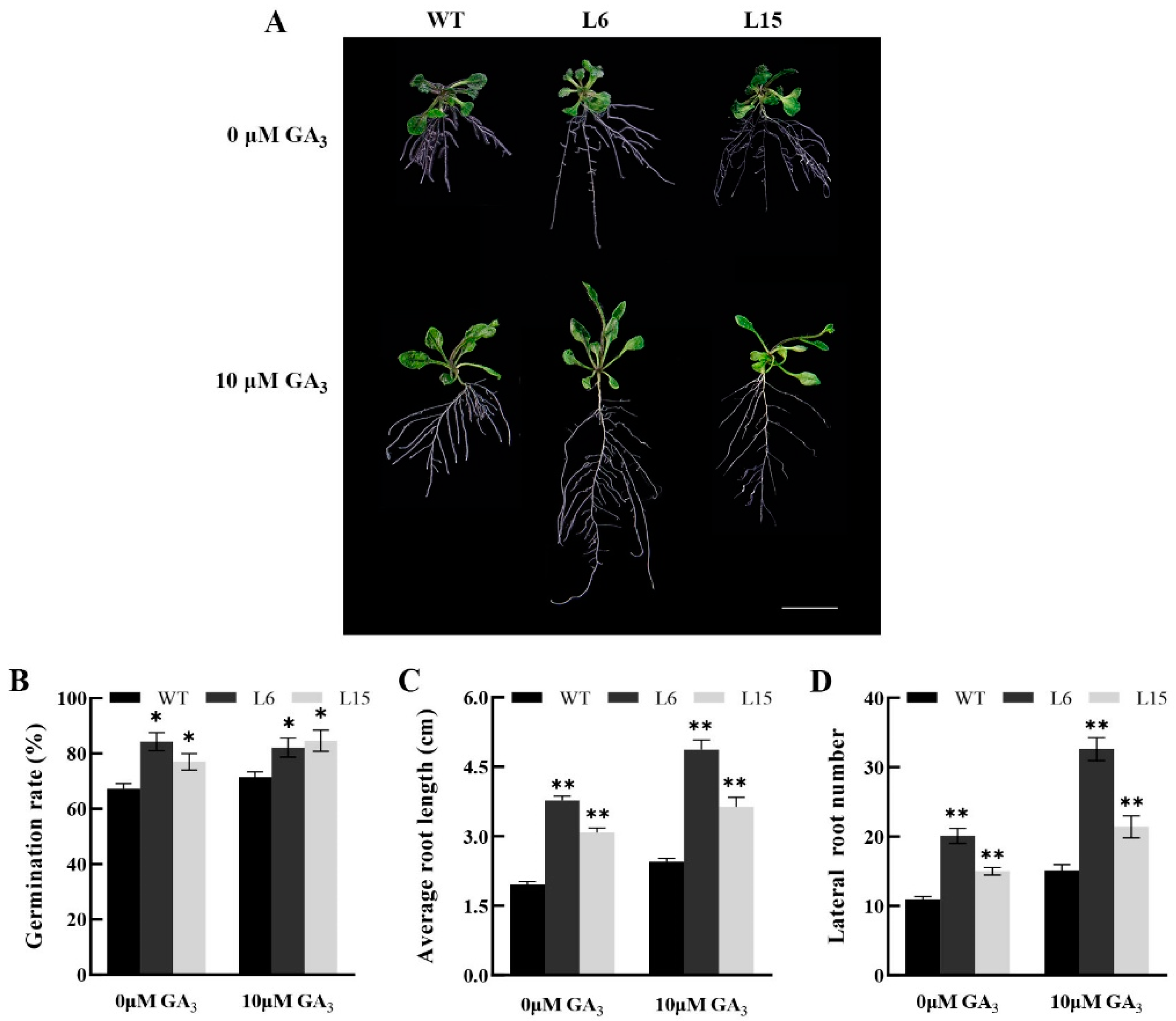 Ijms 23 13971 g009 Ijms 23 13971 g009