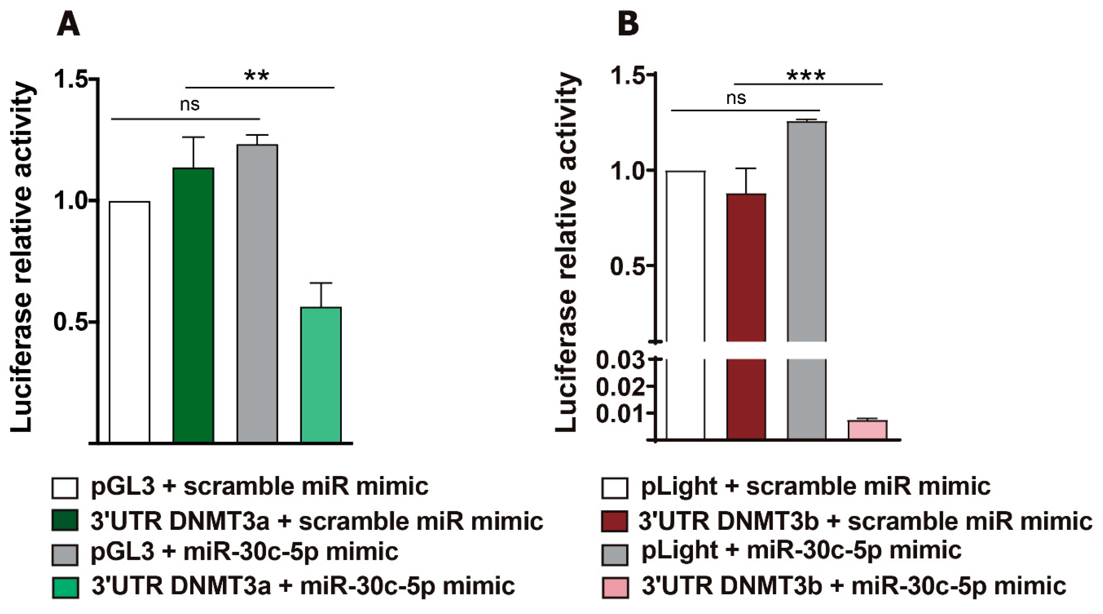 Ijms 23 13994 g003 Ijms 23 13994 g003