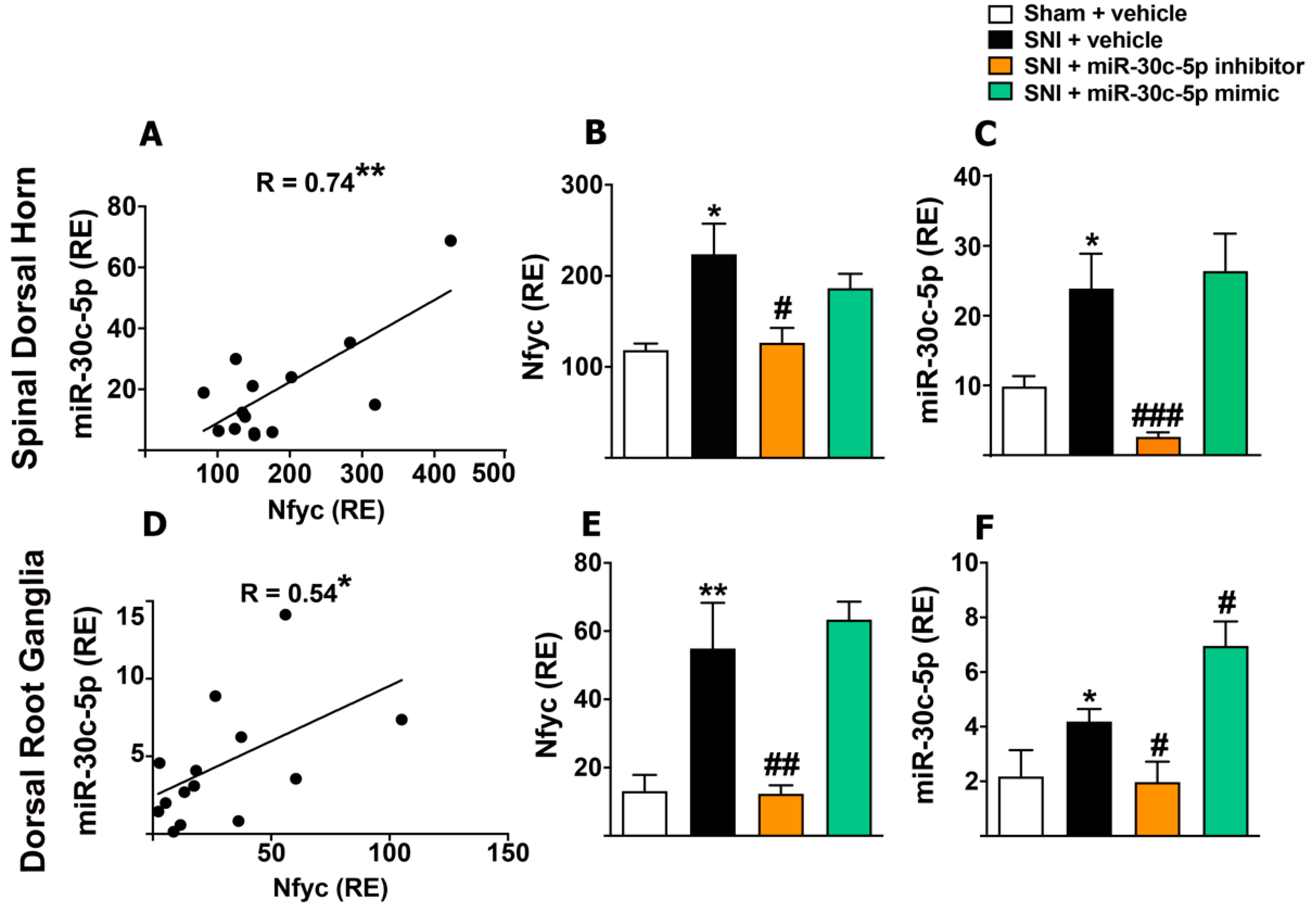 Ijms 23 13994 g004 Ijms 23 13994 g004