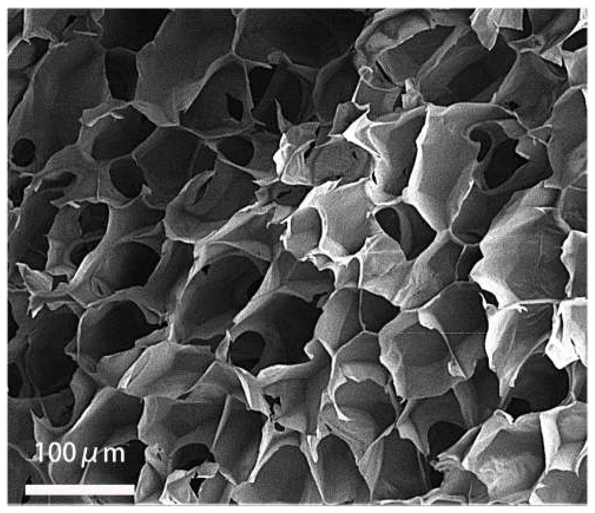 Ijms 23 13995 g011 Ijms 23 13995 g011