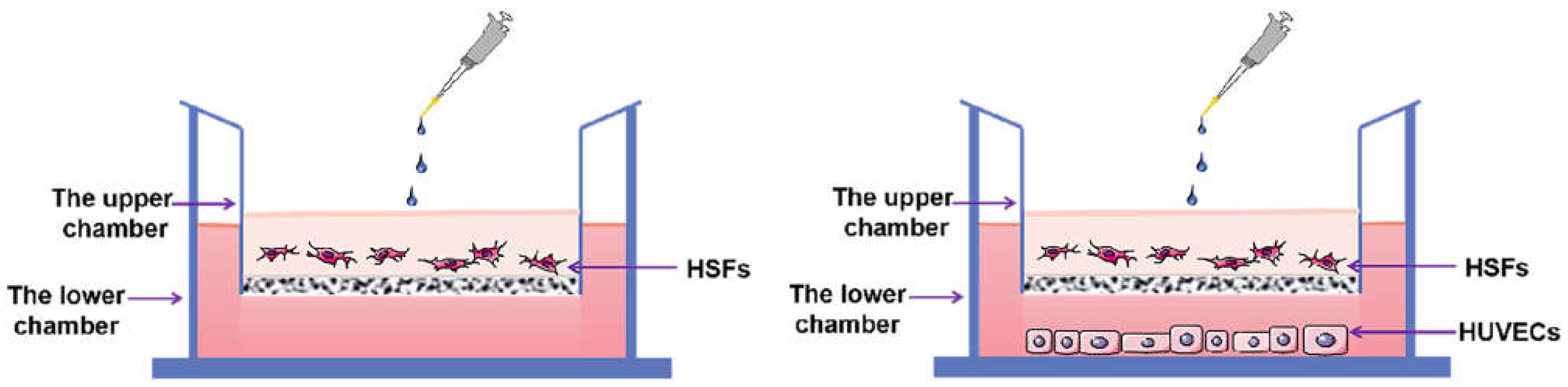 Ijms 23 13995 g017 Ijms 23 13995 g017