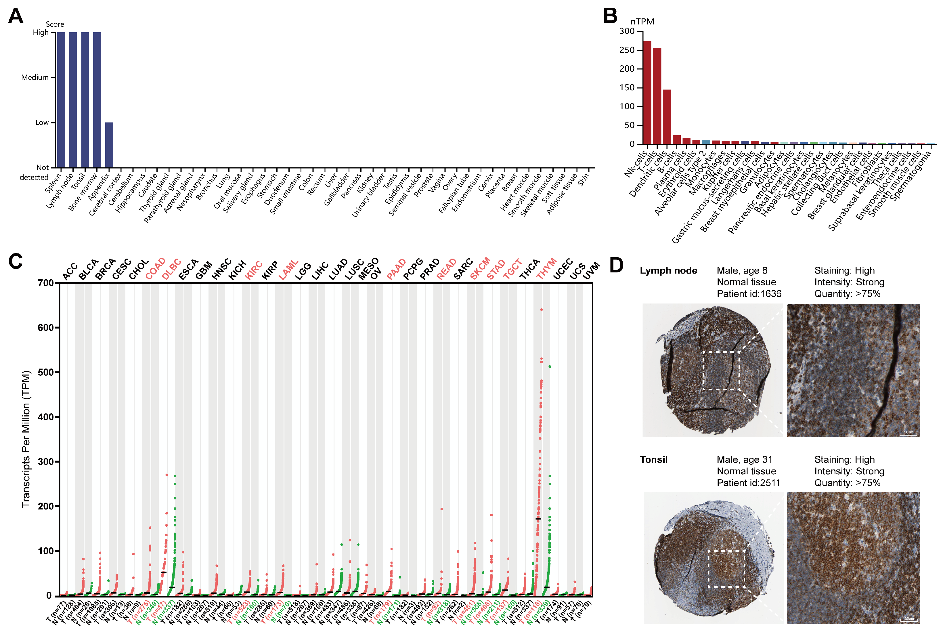 Ijms 23 13998 g002 Ijms 23 13998 g002