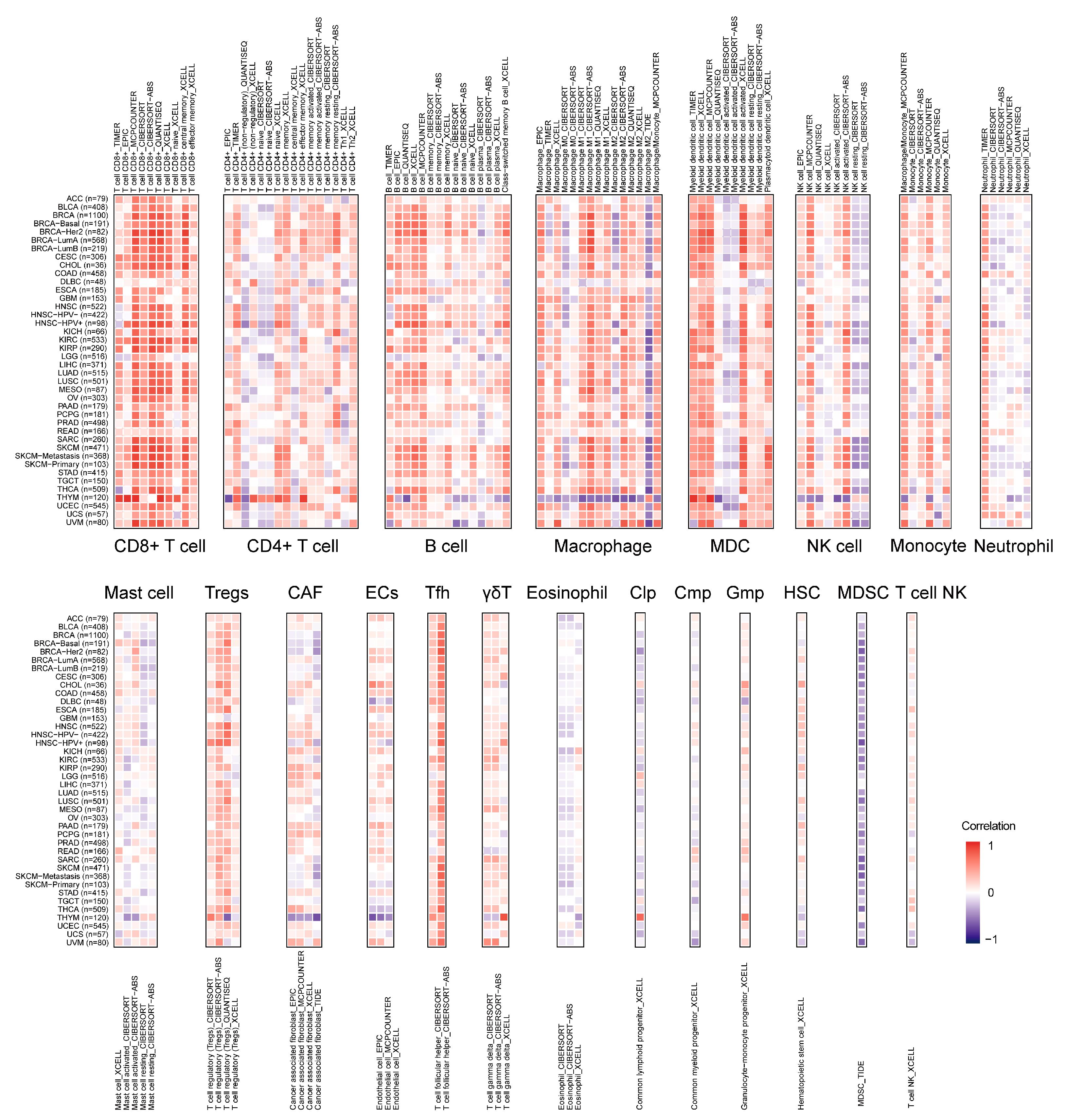 Ijms 23 13998 g007 Ijms 23 13998 g007
