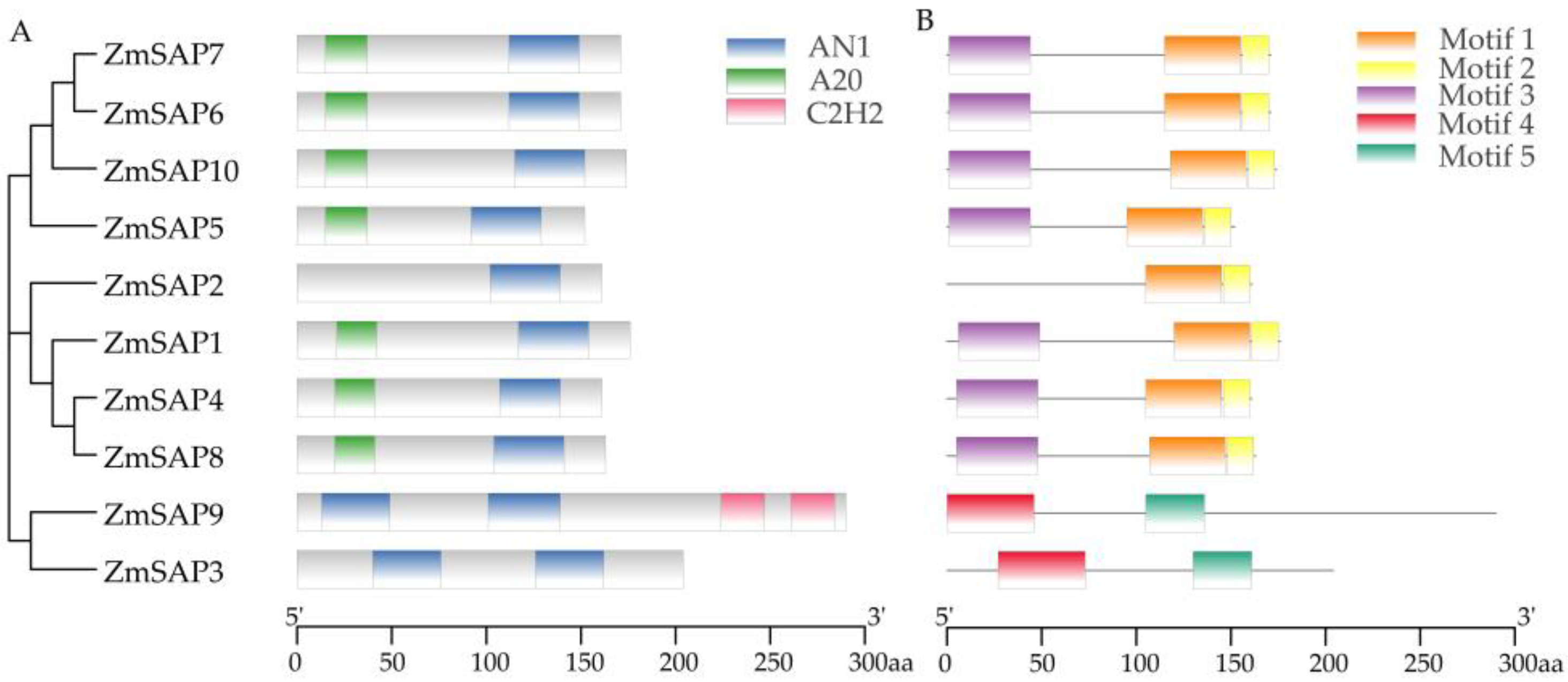 Ijms 23 14010 g001 Ijms 23 14010 g001