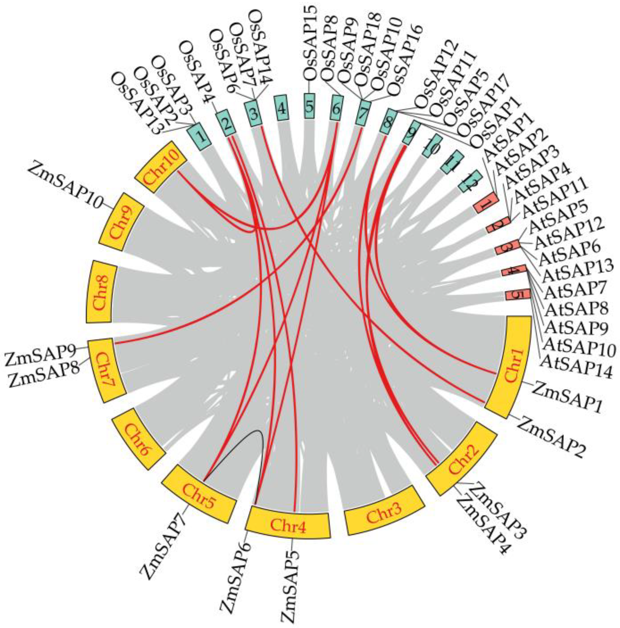 Ijms 23 14010 g003 Ijms 23 14010 g003