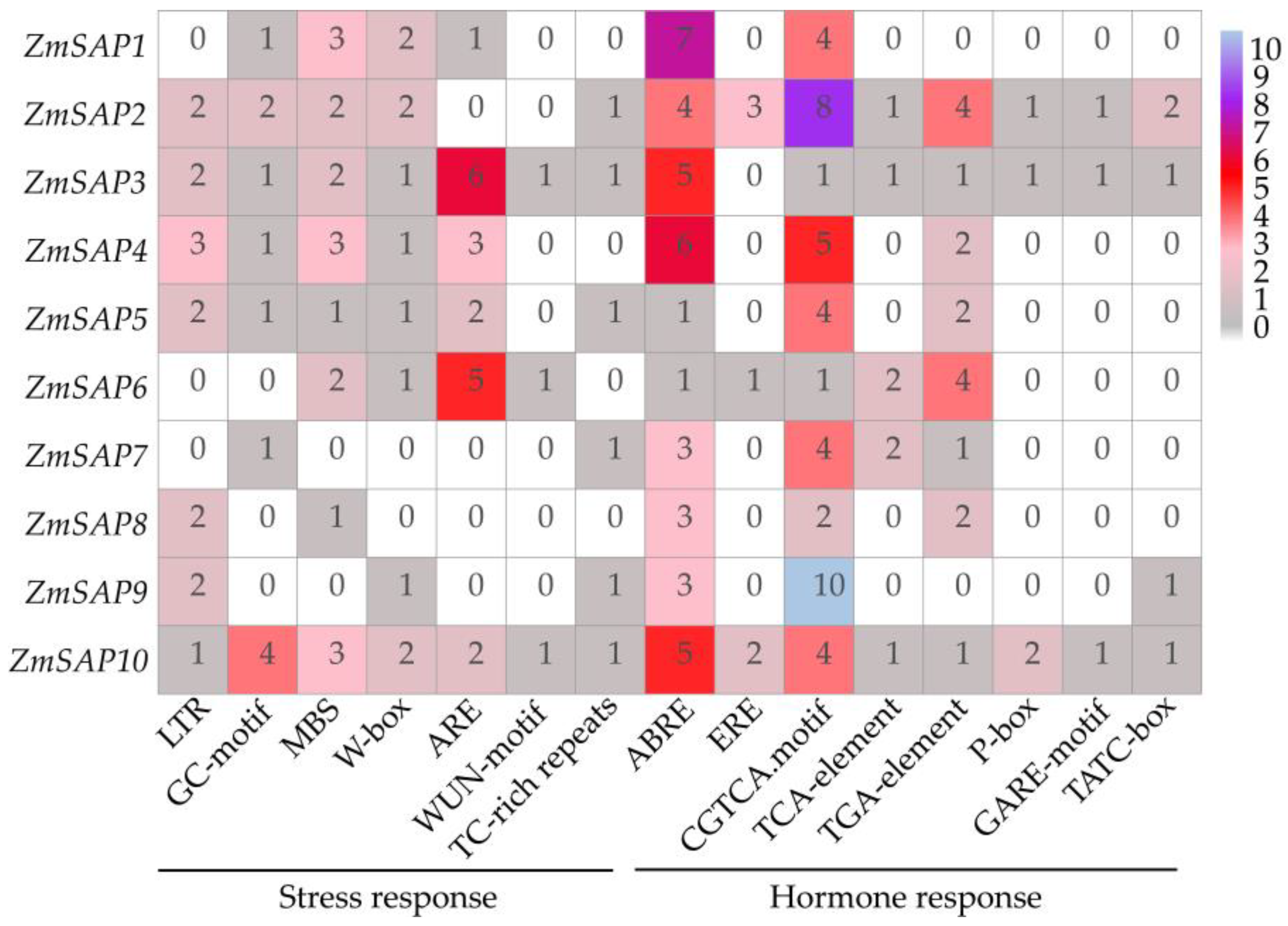Ijms 23 14010 g005 Ijms 23 14010 g005