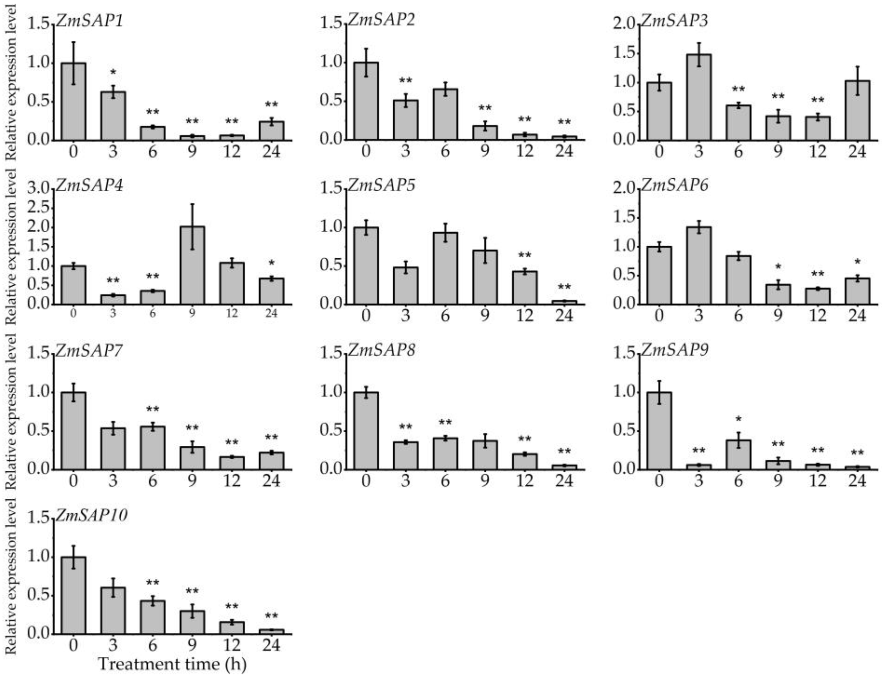 Ijms 23 14010 g007 Ijms 23 14010 g007