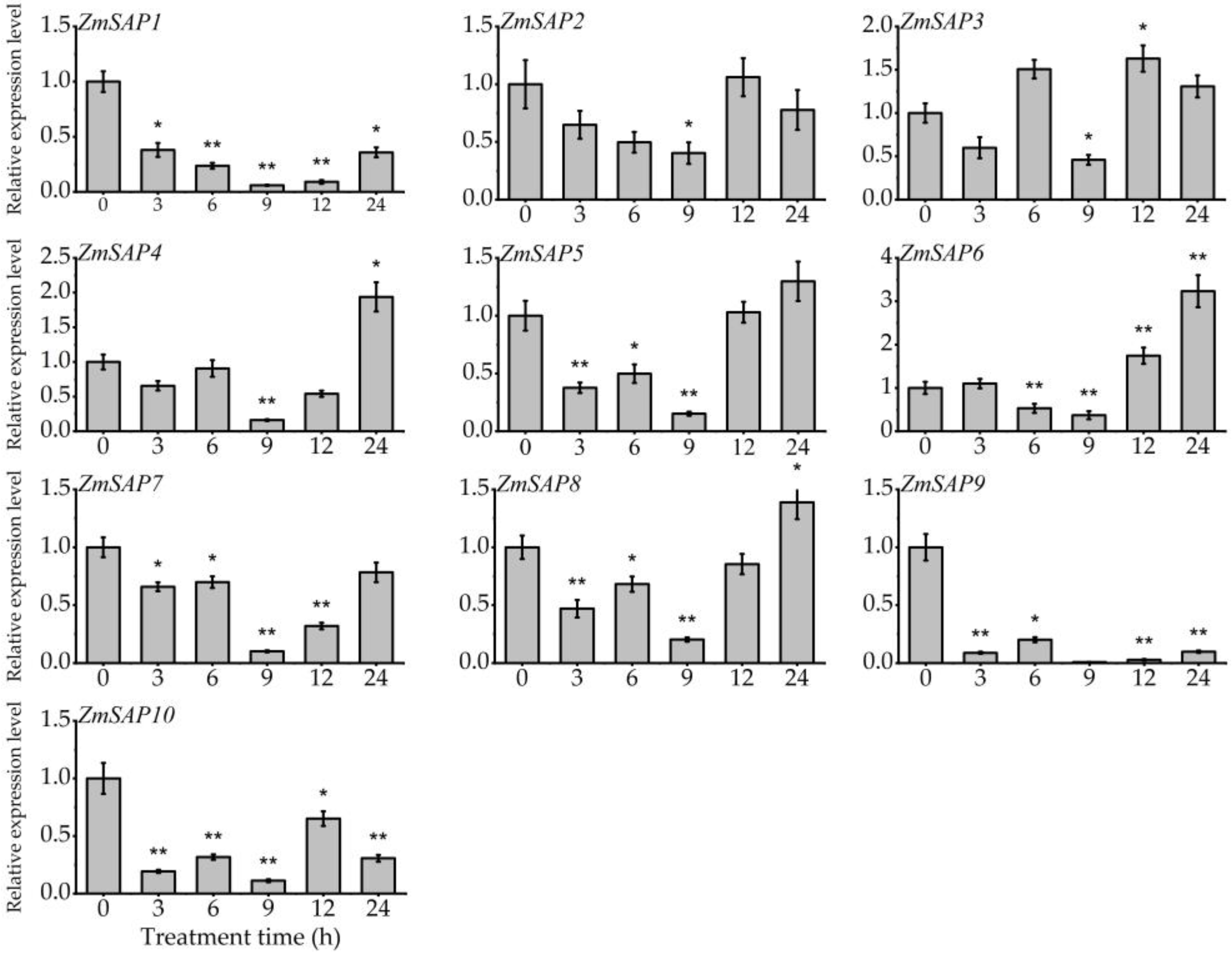 Ijms 23 14010 g008 Ijms 23 14010 g008