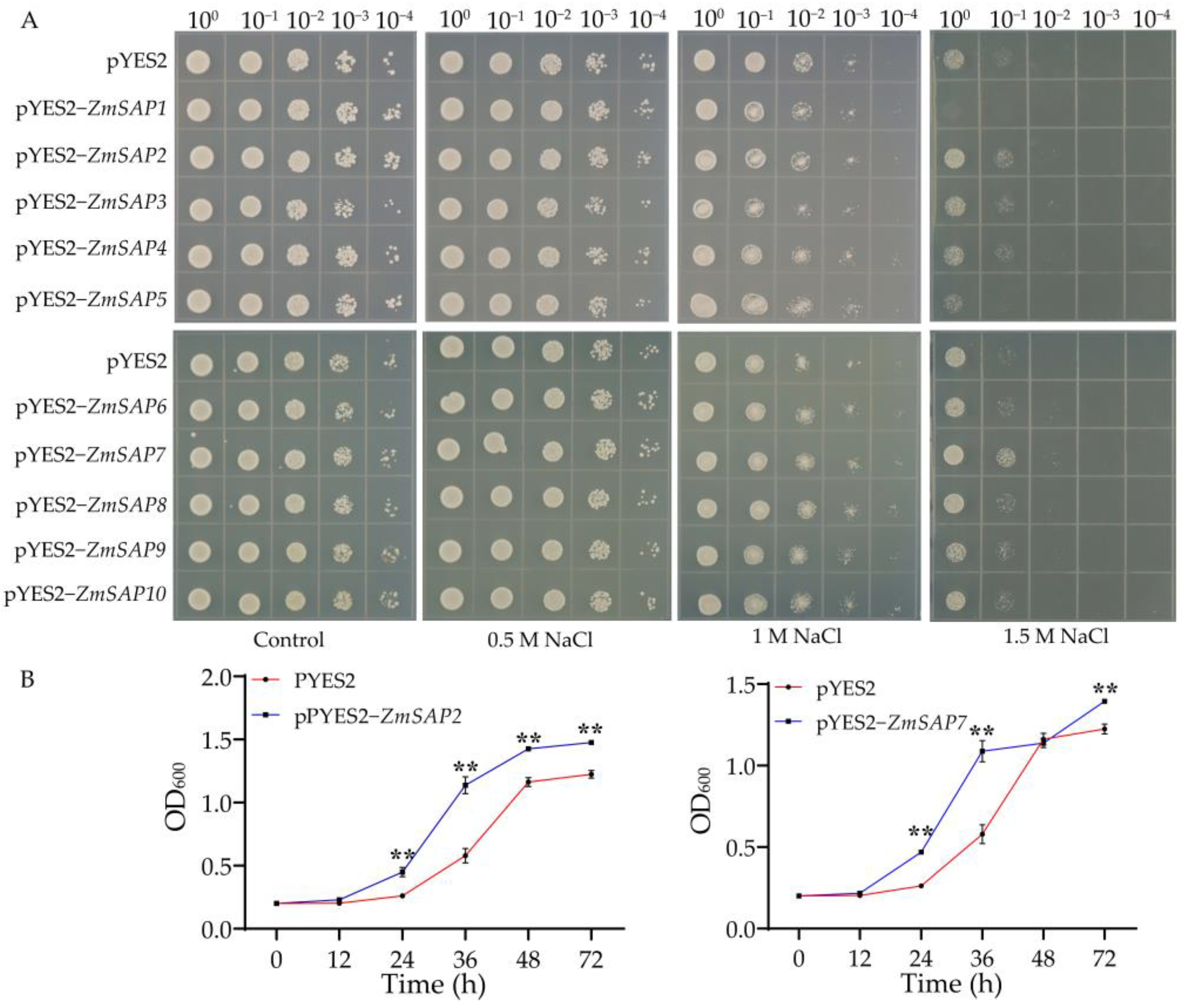 Ijms 23 14010 g009 Ijms 23 14010 g009