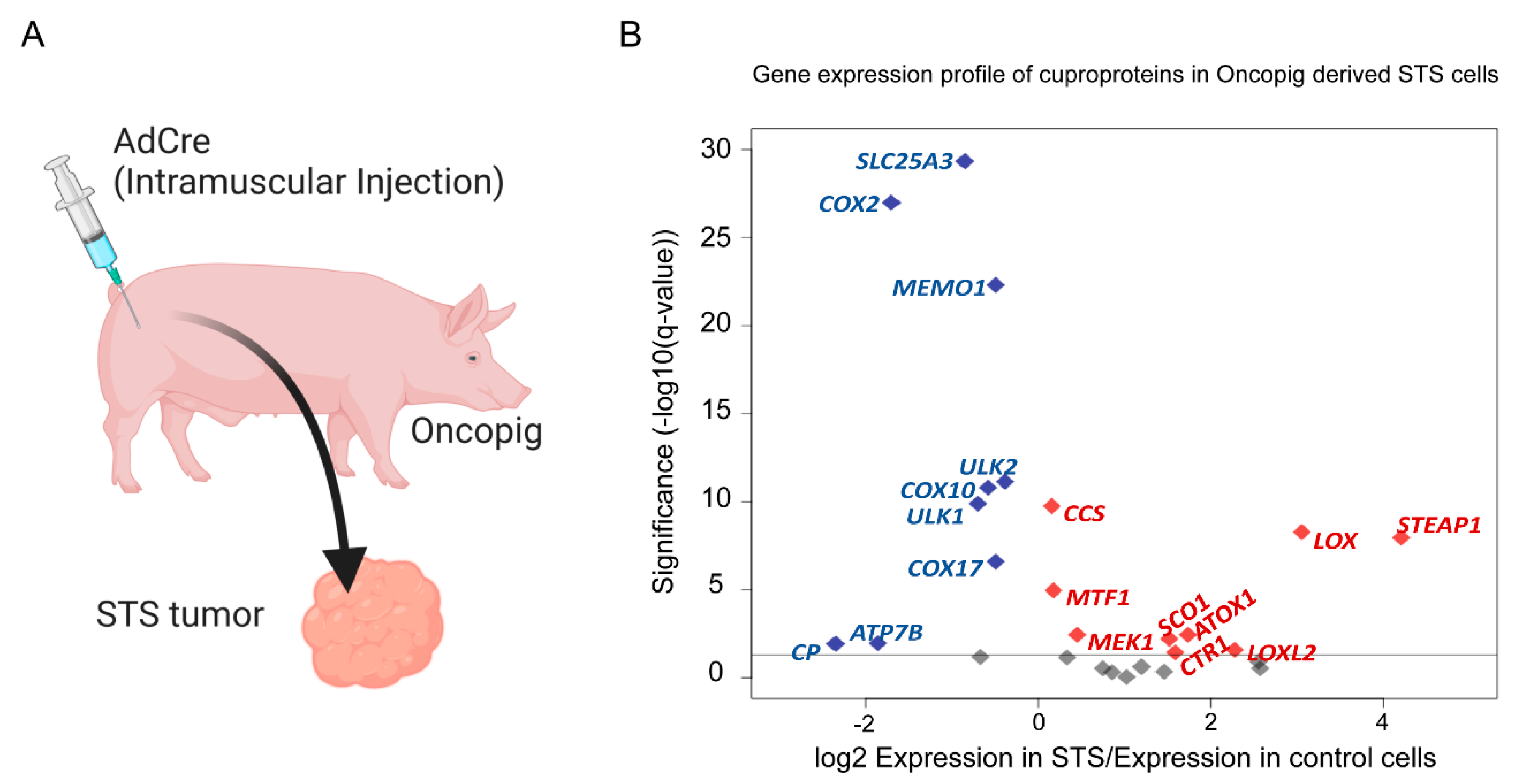 Ijms 23 14012 g003 Ijms 23 14012 g003