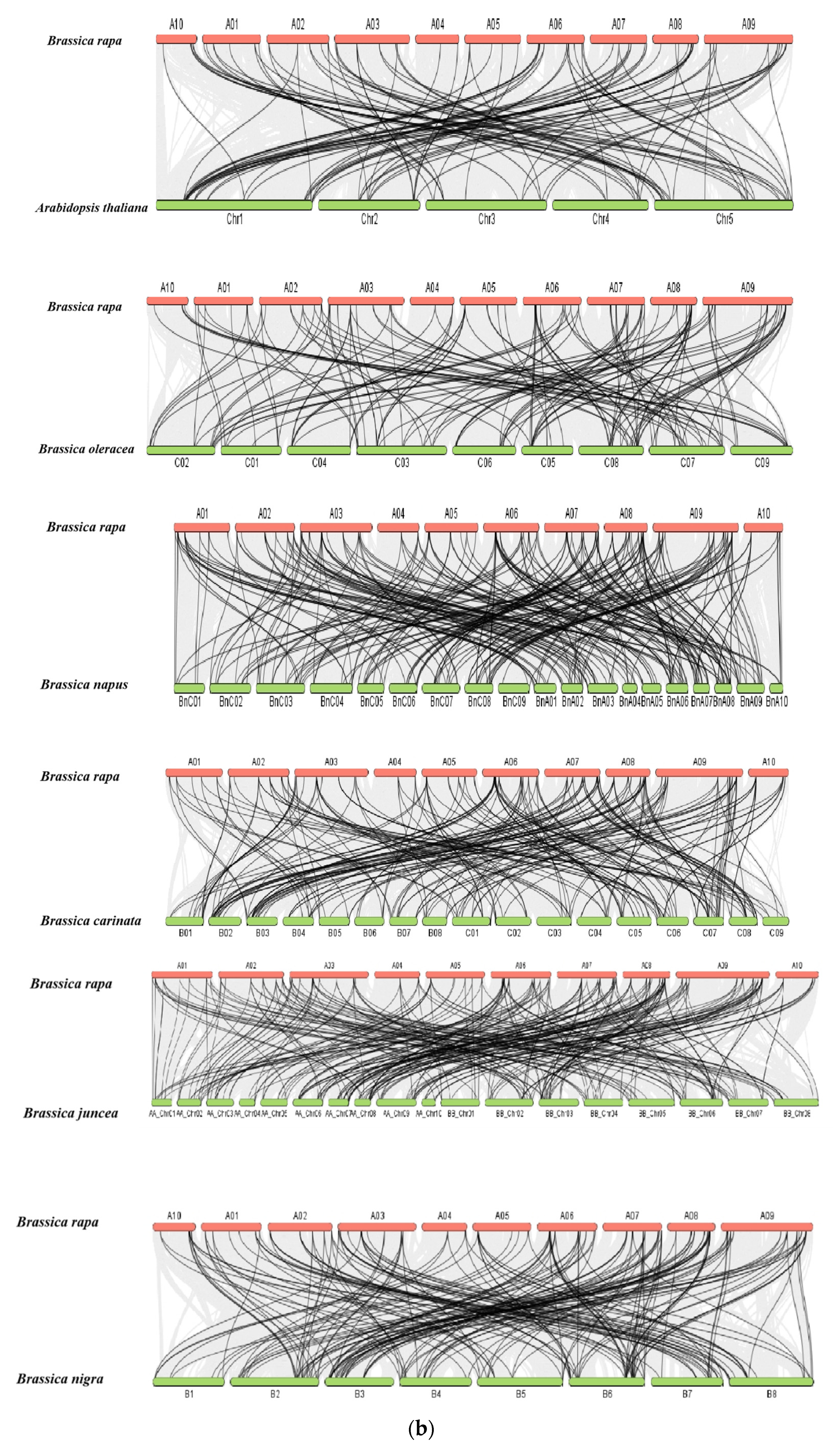 Ijms 23 14017 g004b Ijms 23 14017 g004b