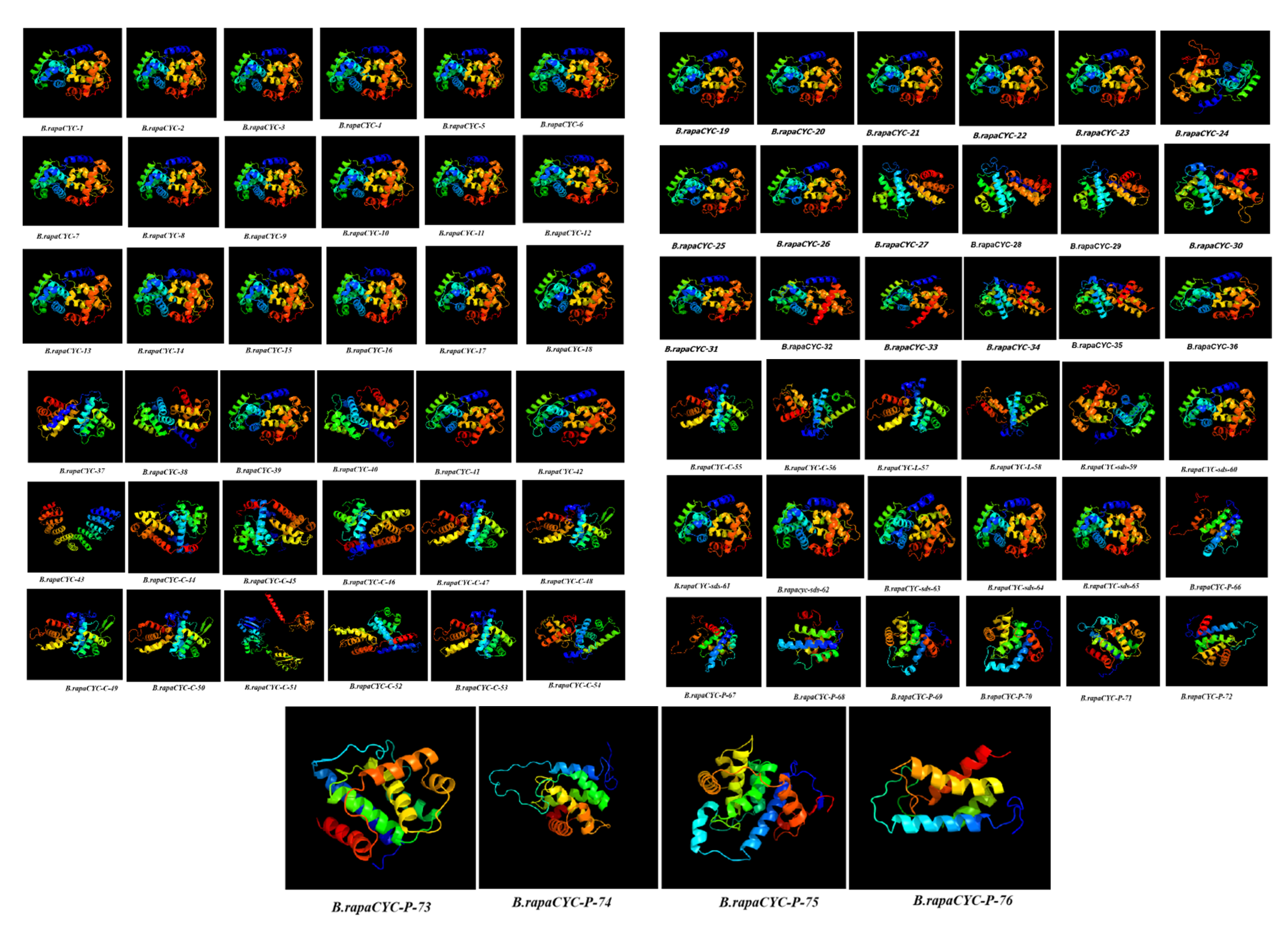 Ijms 23 14017 g006 Ijms 23 14017 g006