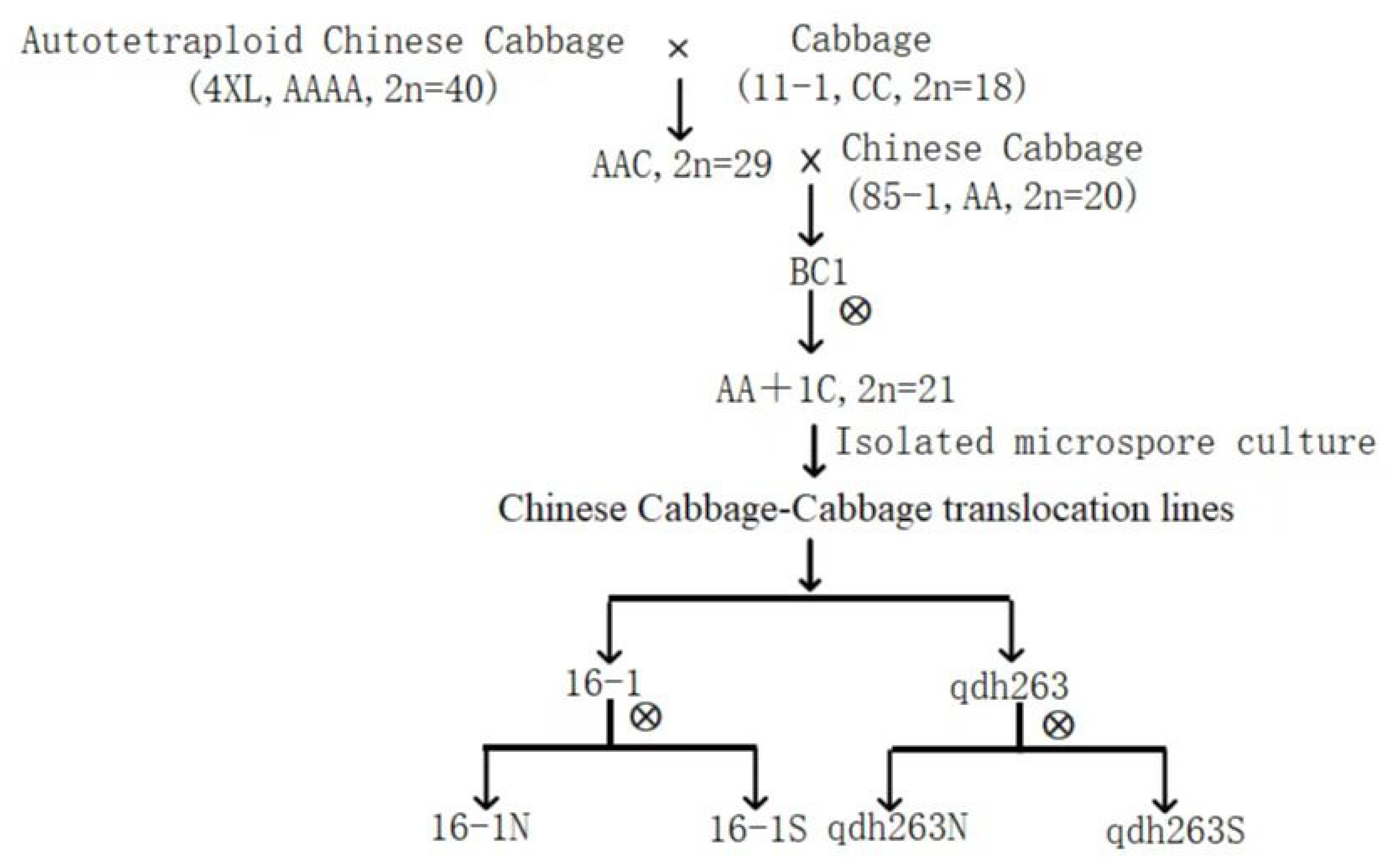 Ijms 23 14017 g010 Ijms 23 14017 g010