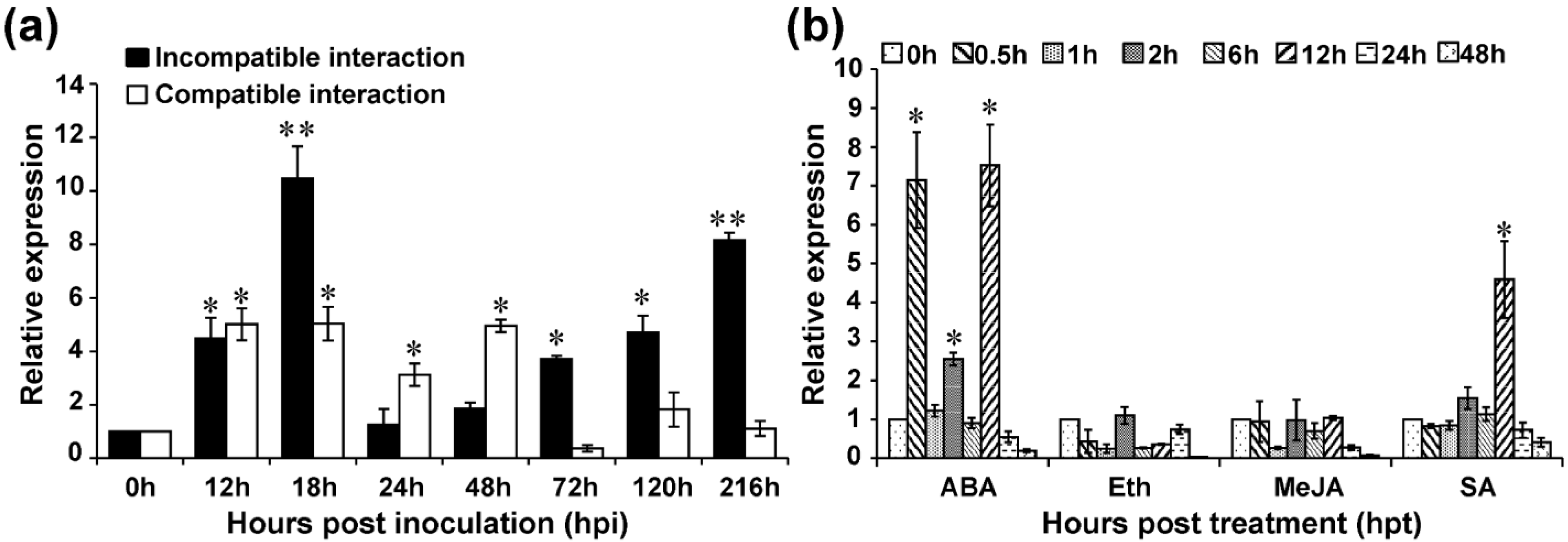 Ijms 23 14070 g001 Ijms 23 14070 g001