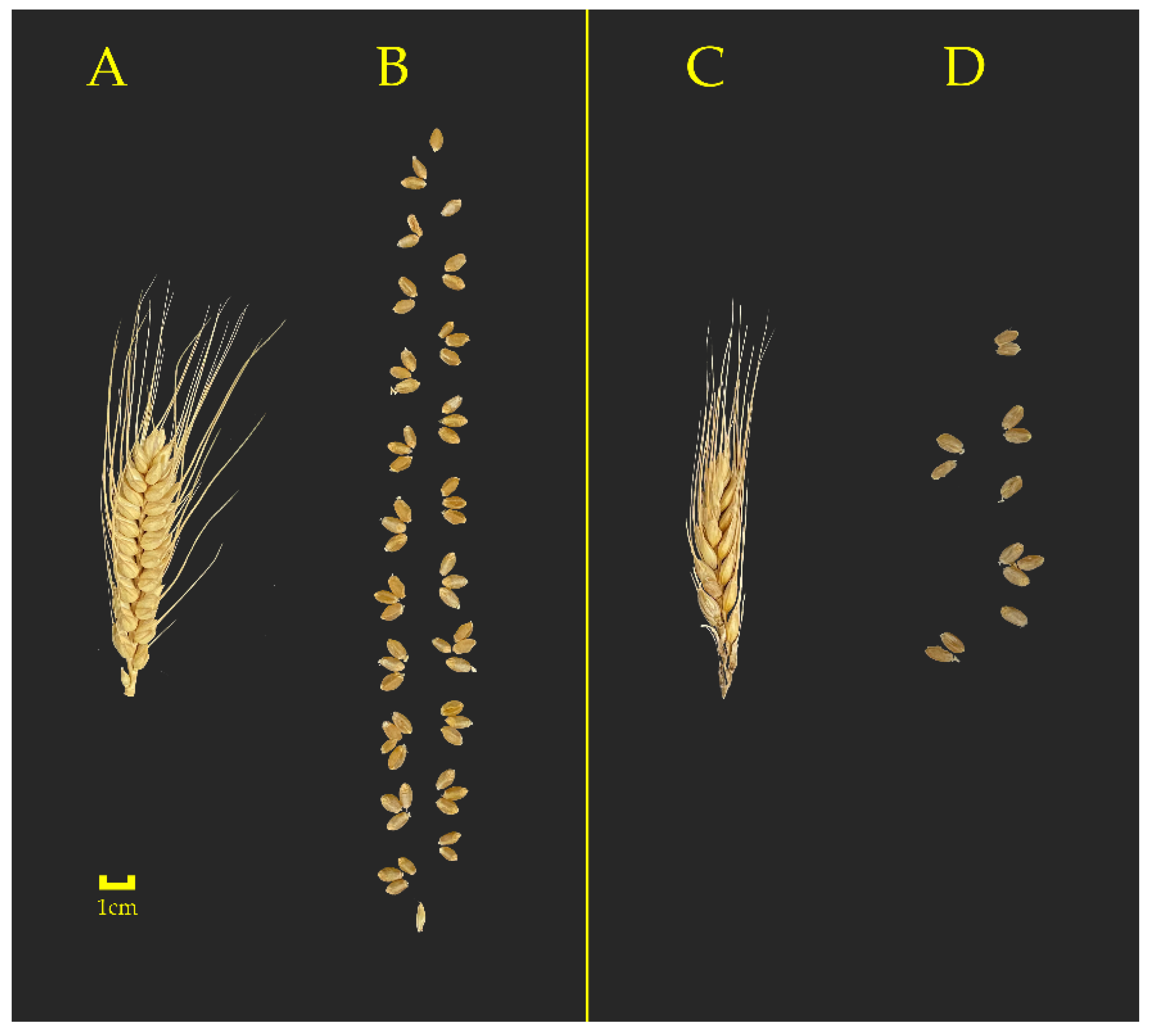 Ijms 23 14099 g002 Ijms 23 14099 g002