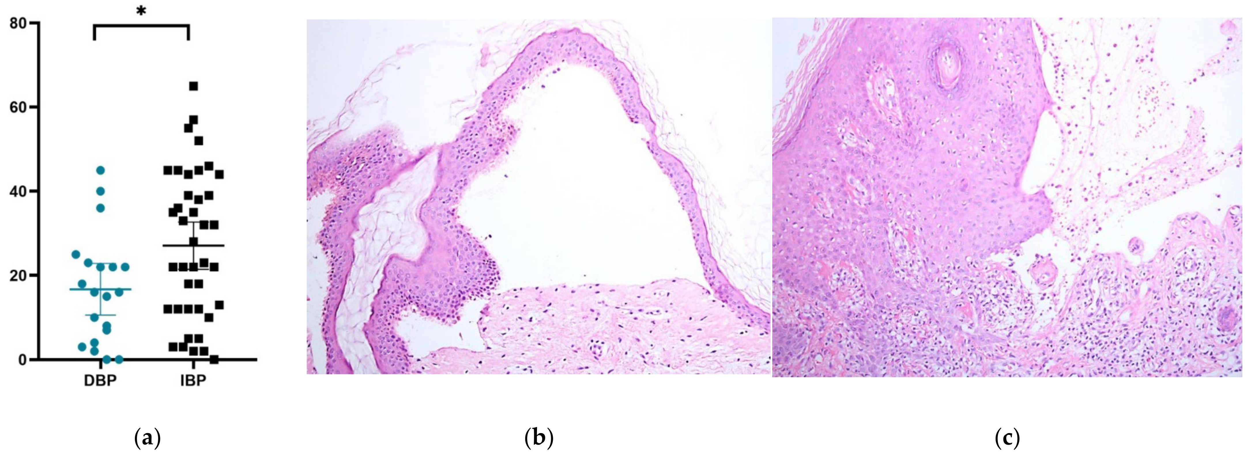 Ijms 23 14101 g001 Ijms 23 14101 g001