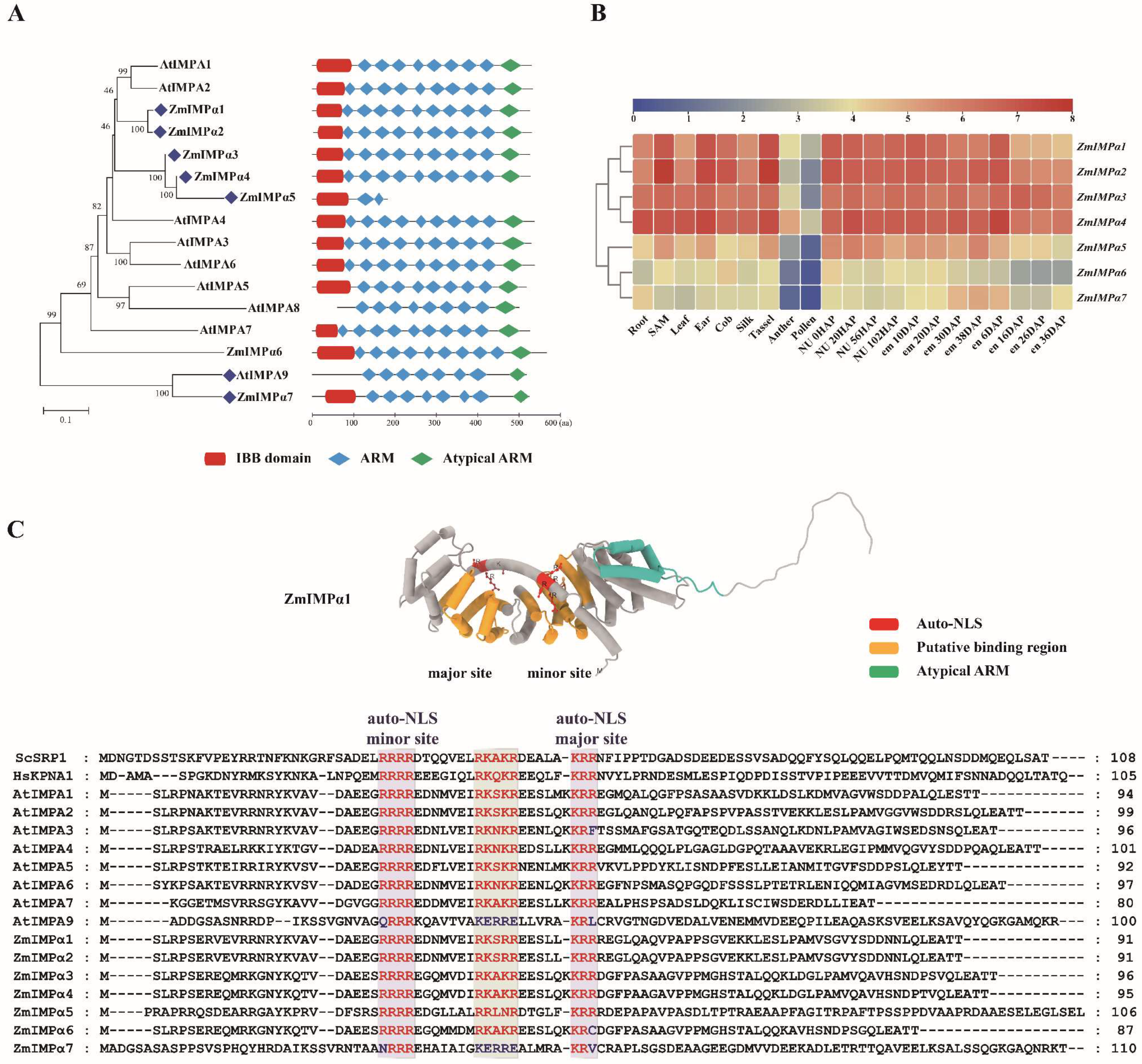 Ijms 23 14103 g002 Ijms 23 14103 g002