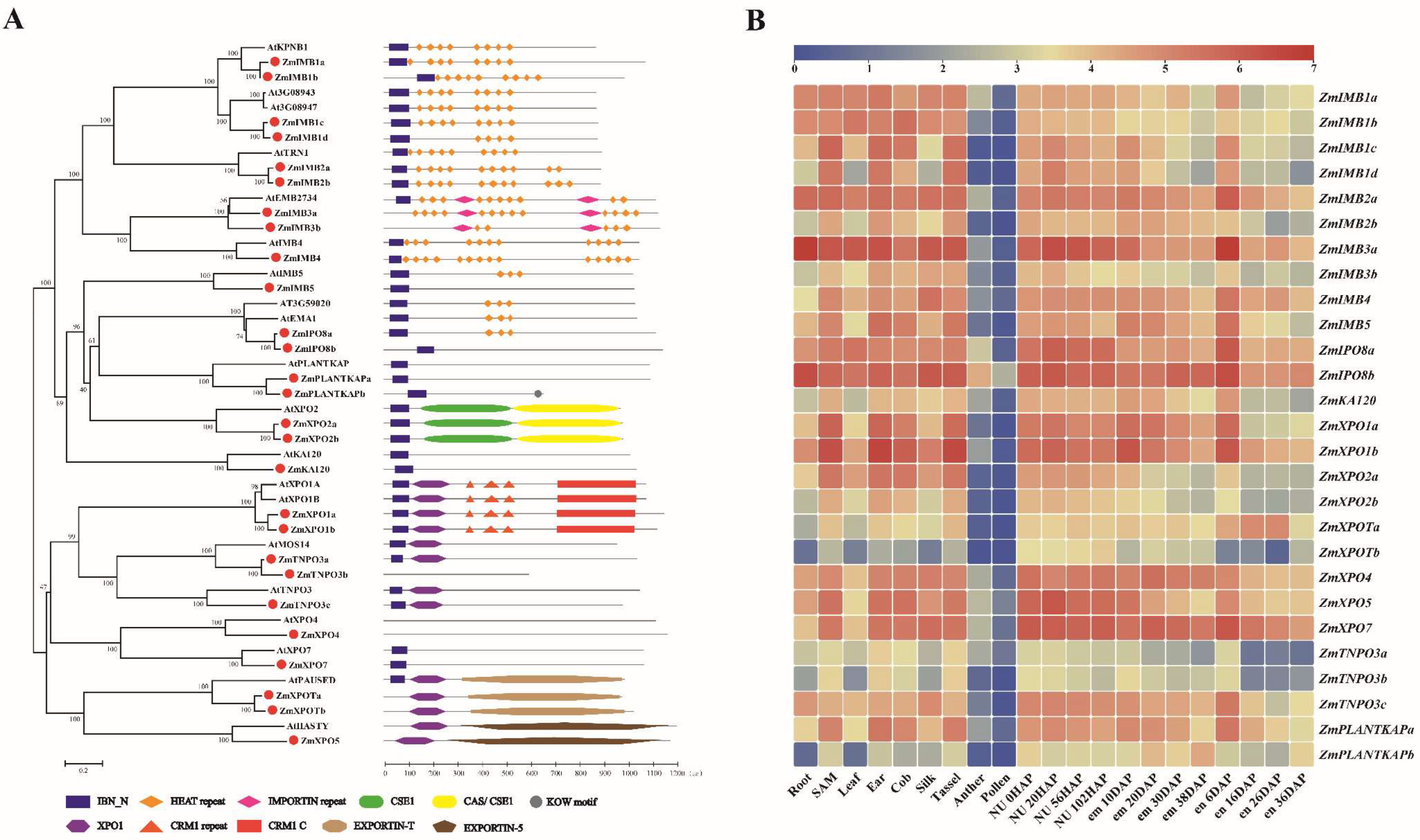 Ijms 23 14103 g003 Ijms 23 14103 g003