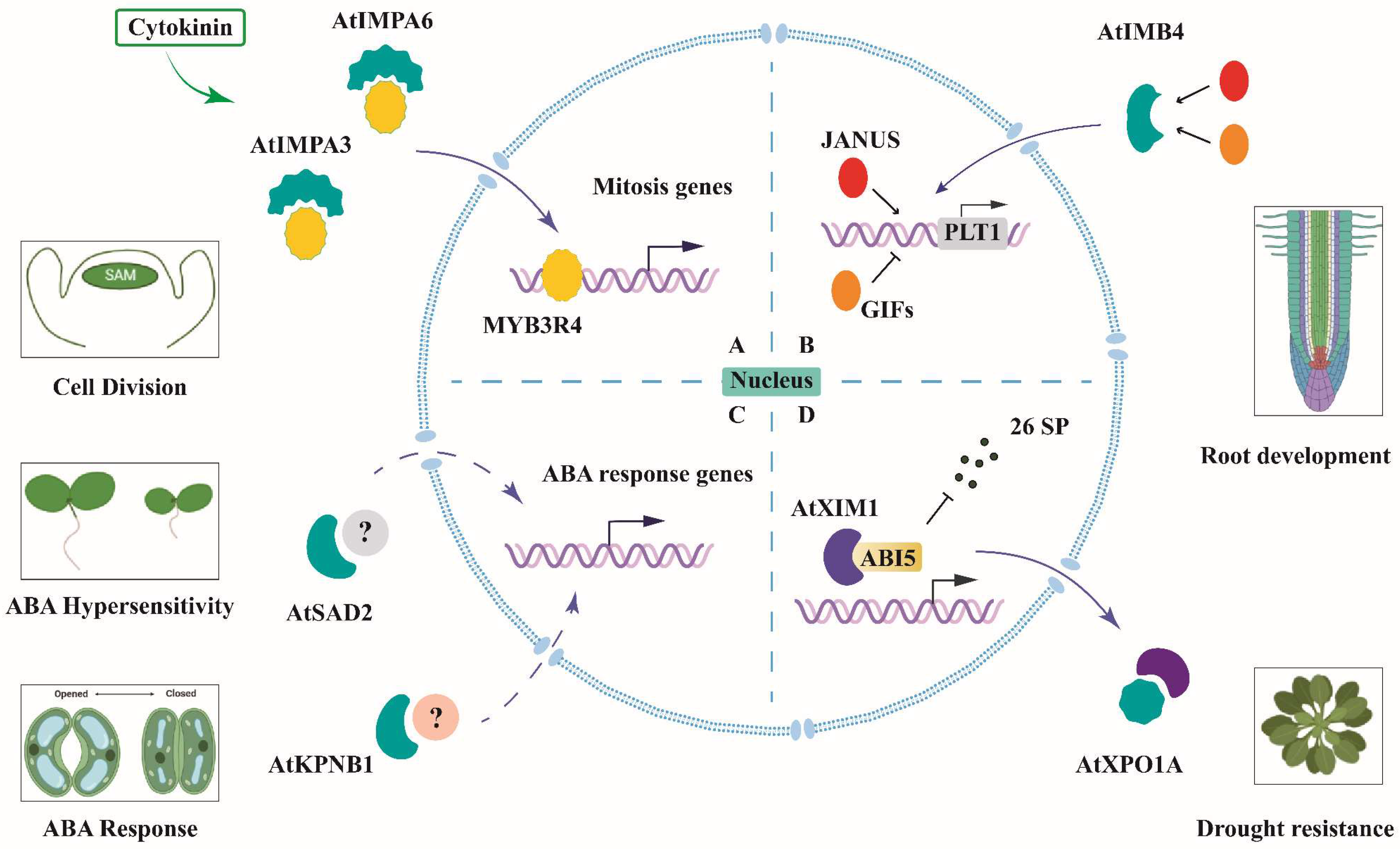 Ijms 23 14103 g004 Ijms 23 14103 g004