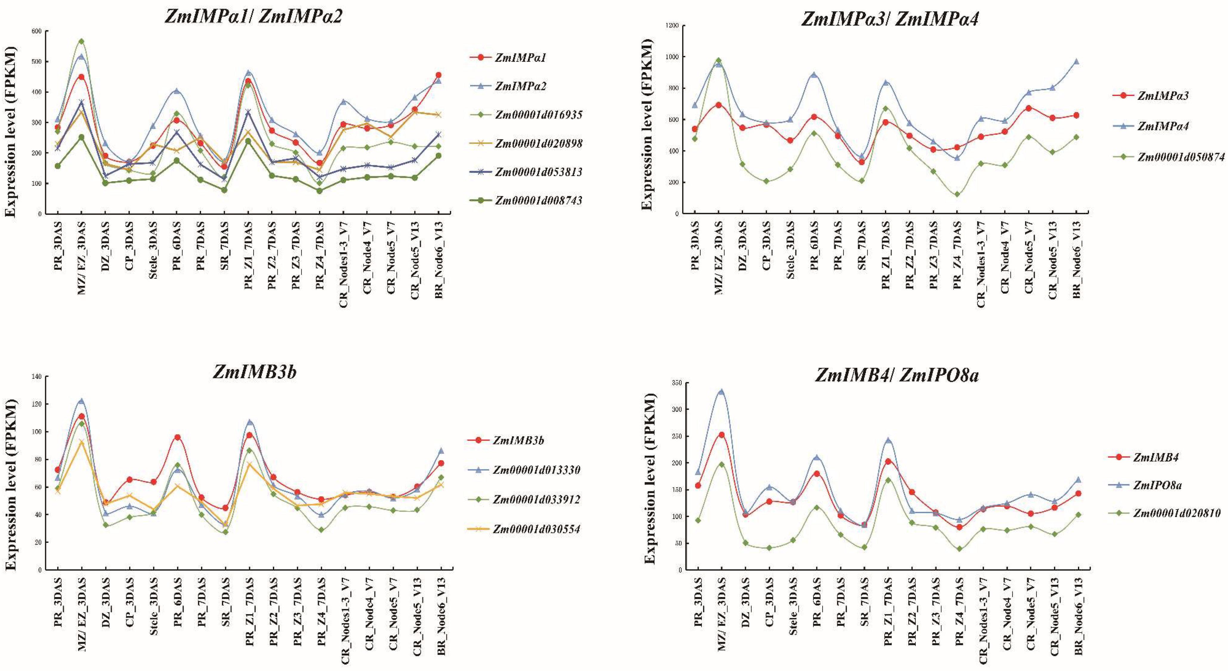 Ijms 23 14103 g005 Ijms 23 14103 g005