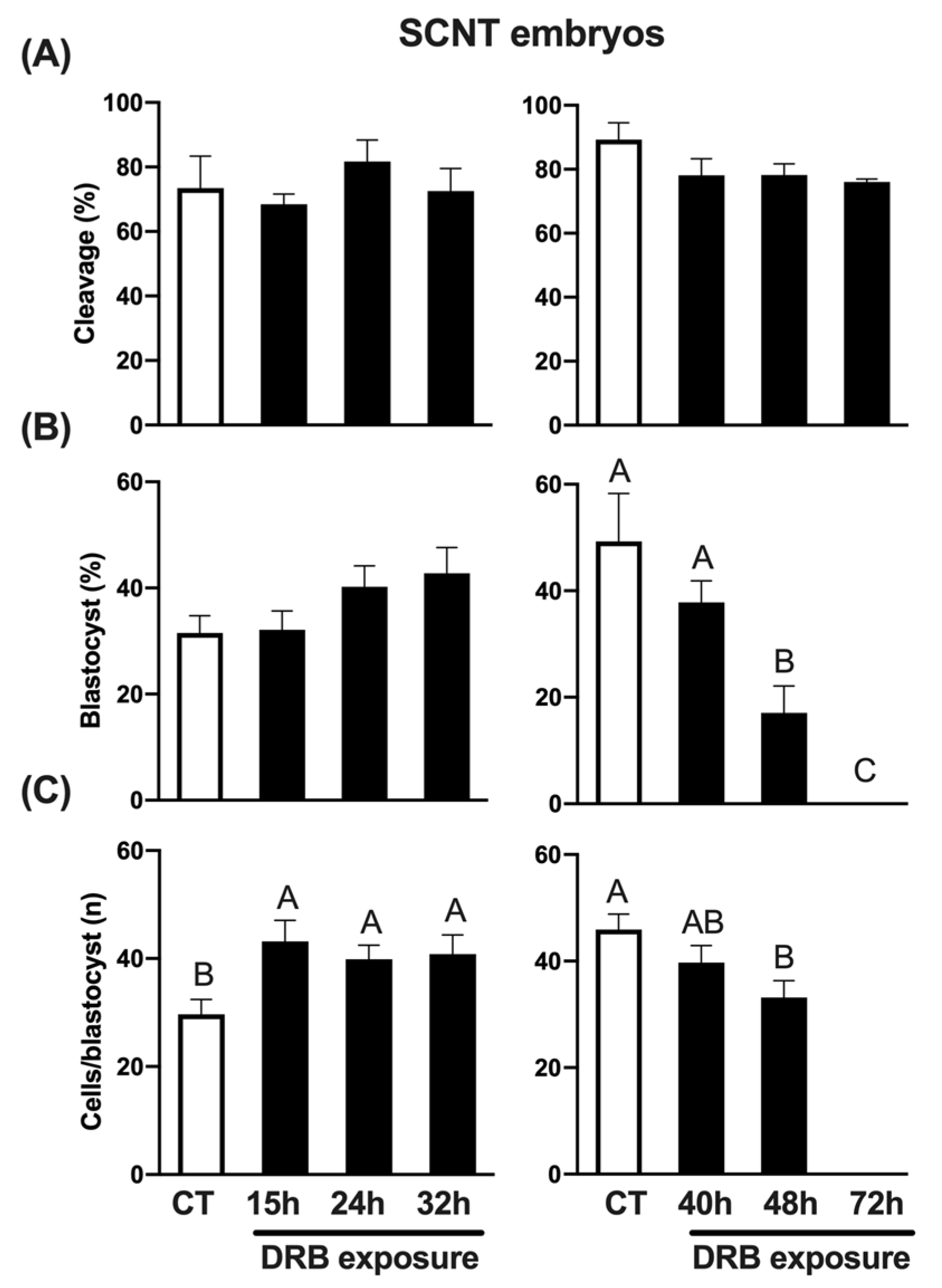 Ijms 23 14142 g002 Ijms 23 14142 g002