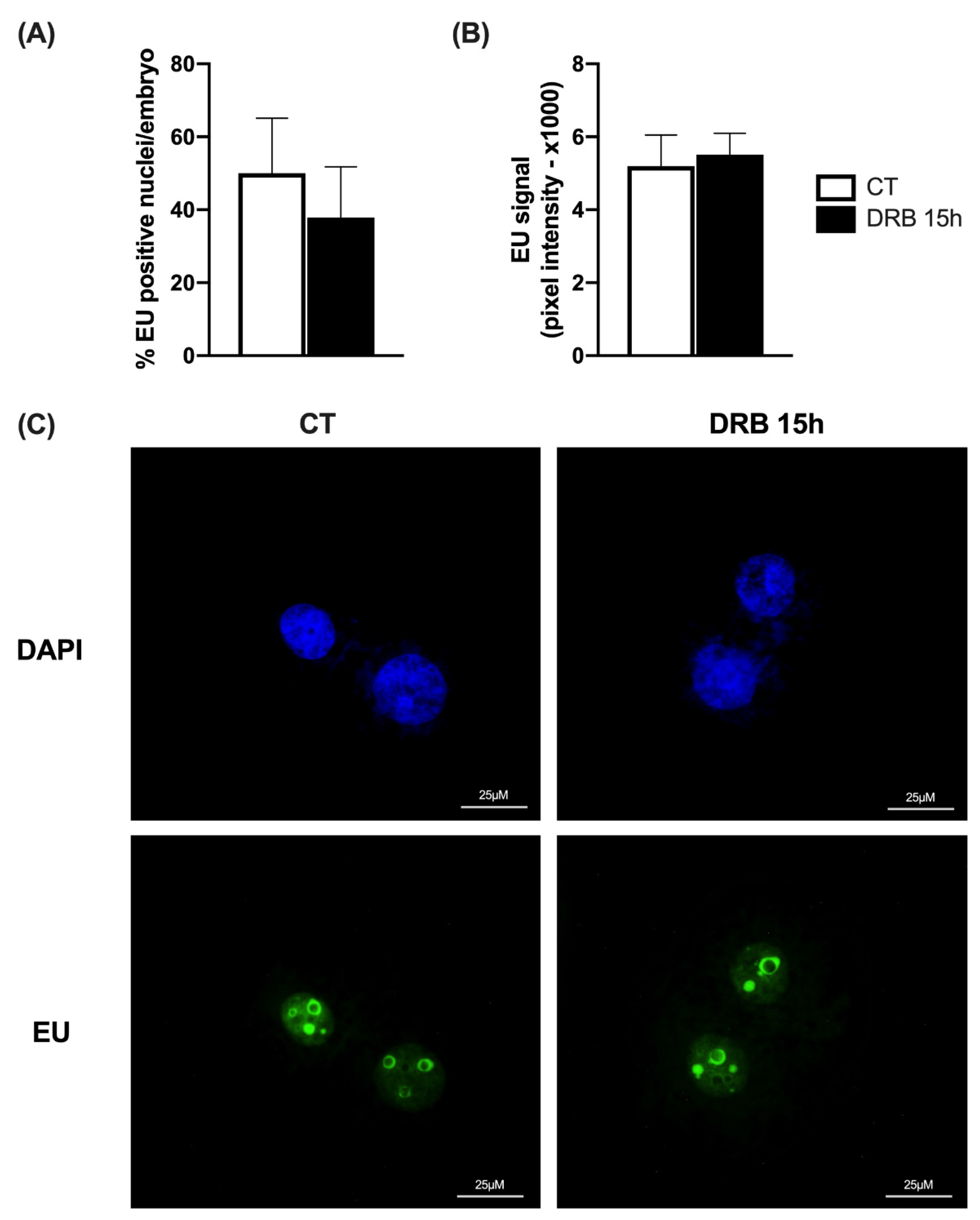 Ijms 23 14142 g003 Ijms 23 14142 g003